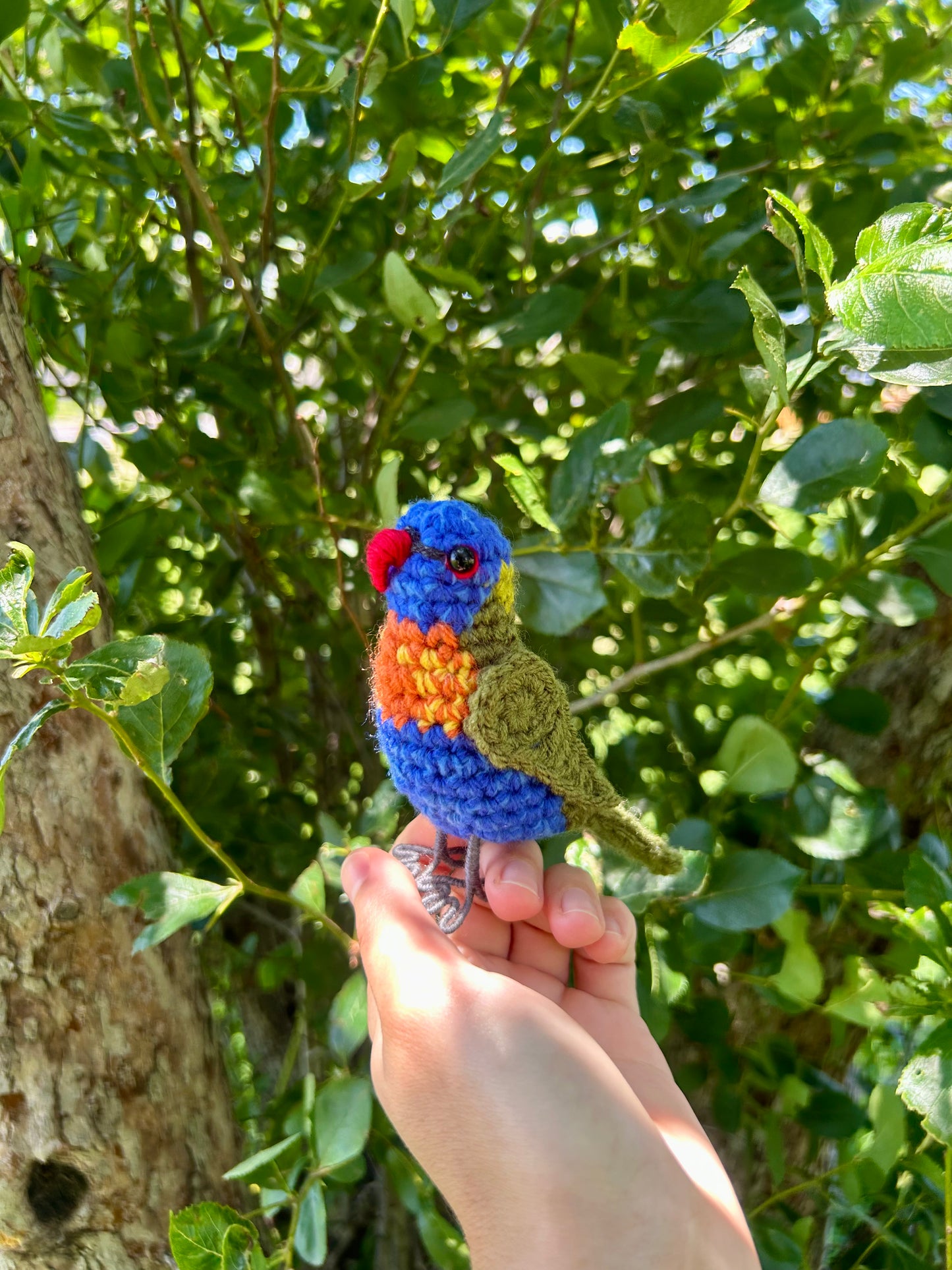 Rainbow Lorikeet Written Crochet Pattern | DIGITAL PDF