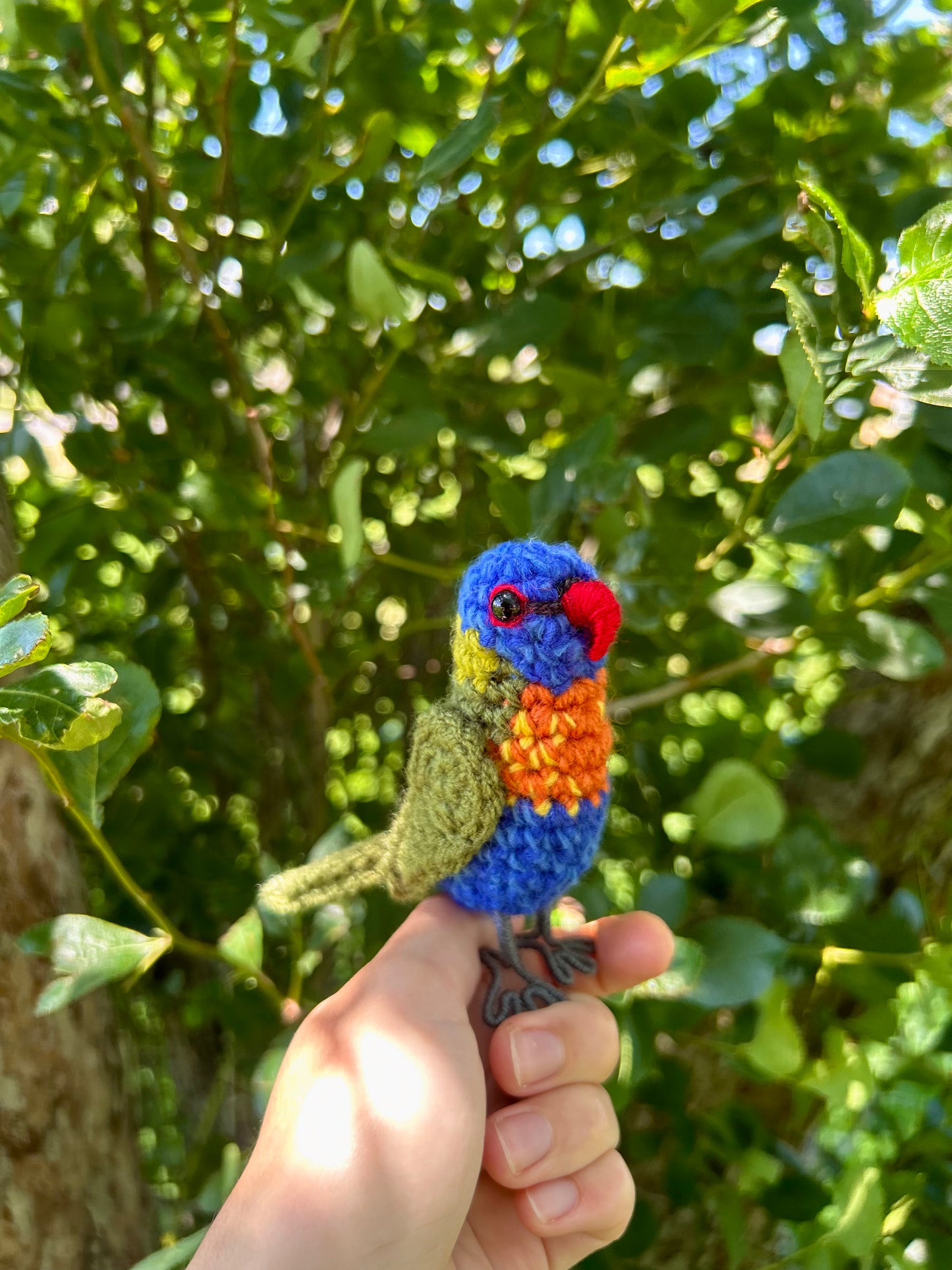 Rainbow Lorikeet Written Crochet Pattern | DIGITAL PDF