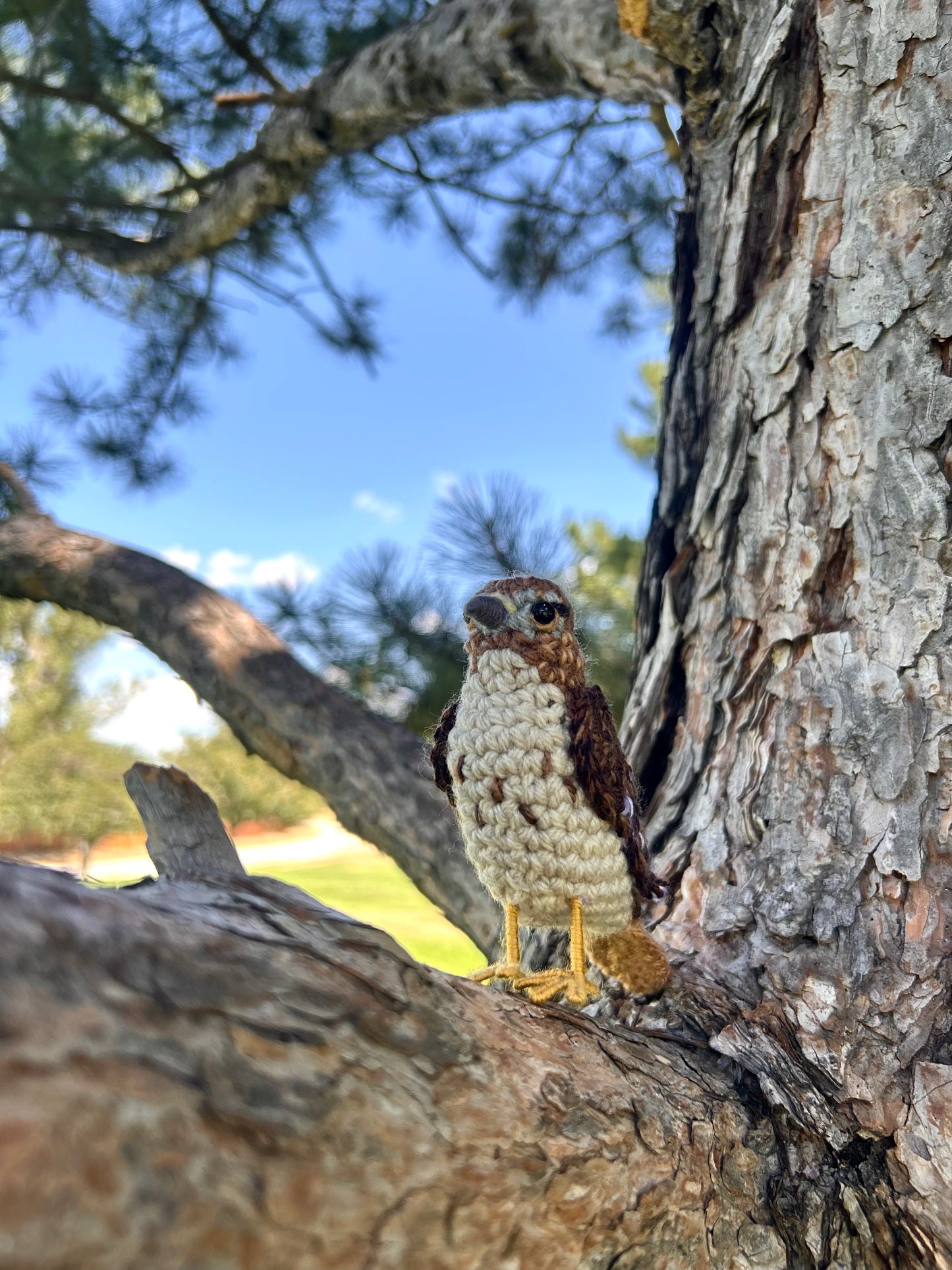Red-tailed Hawk Plush