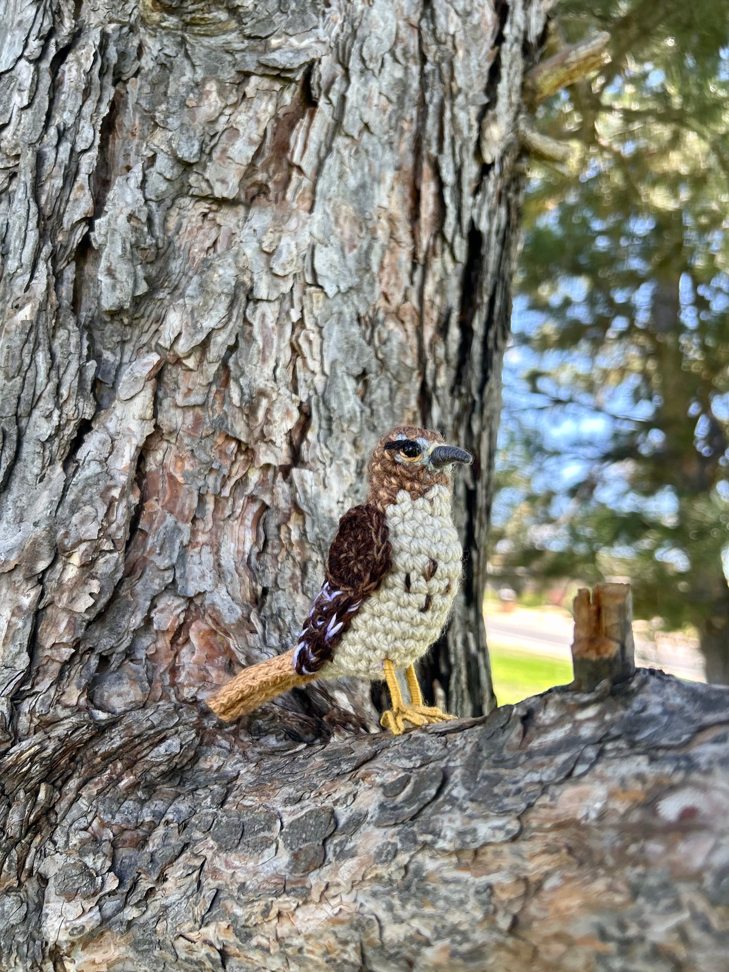 Red-tailed Hawk Plush