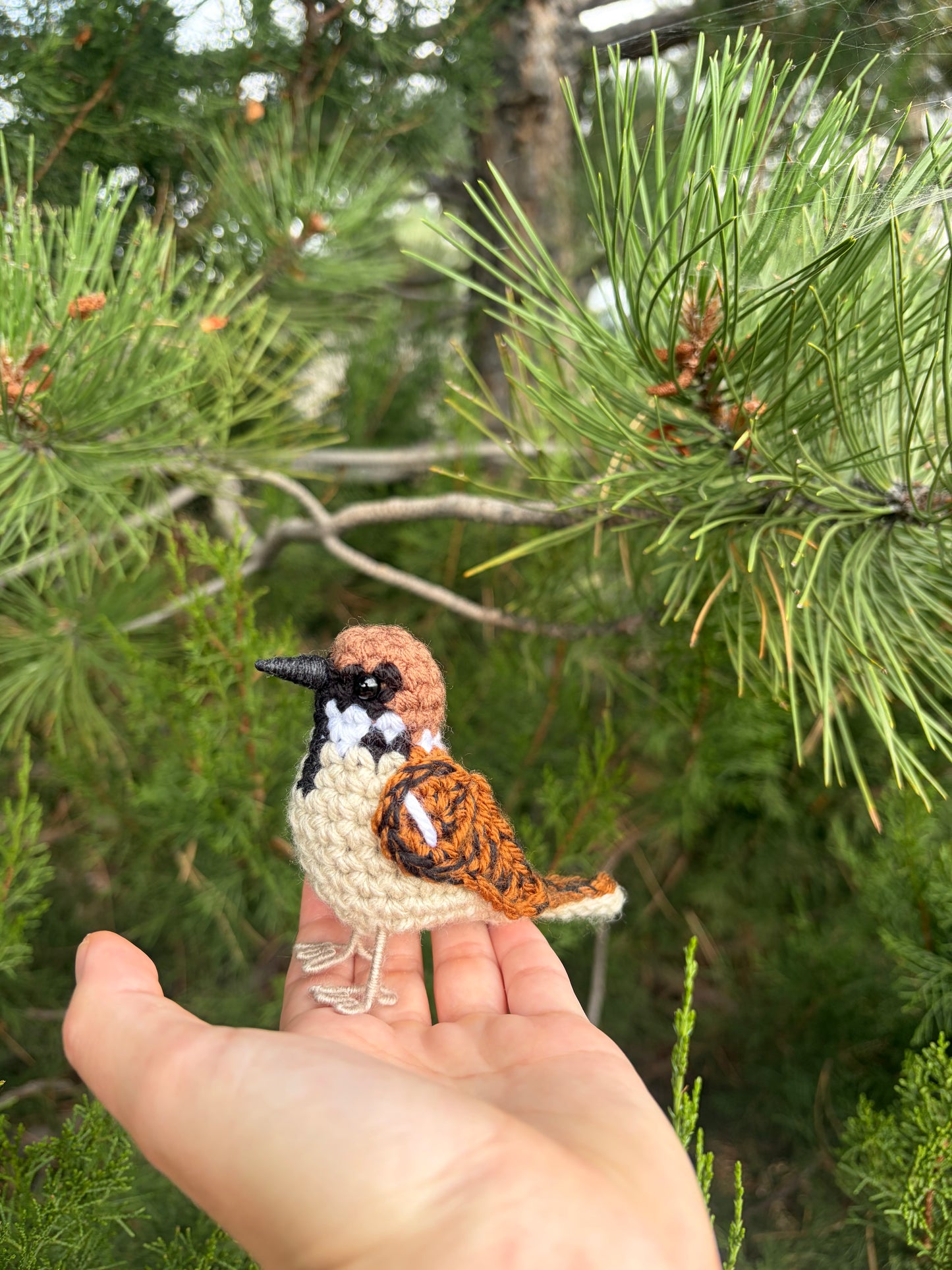 Eurasian Tree Sparrow Written Crochet Pattern | DIGITAL PDF
