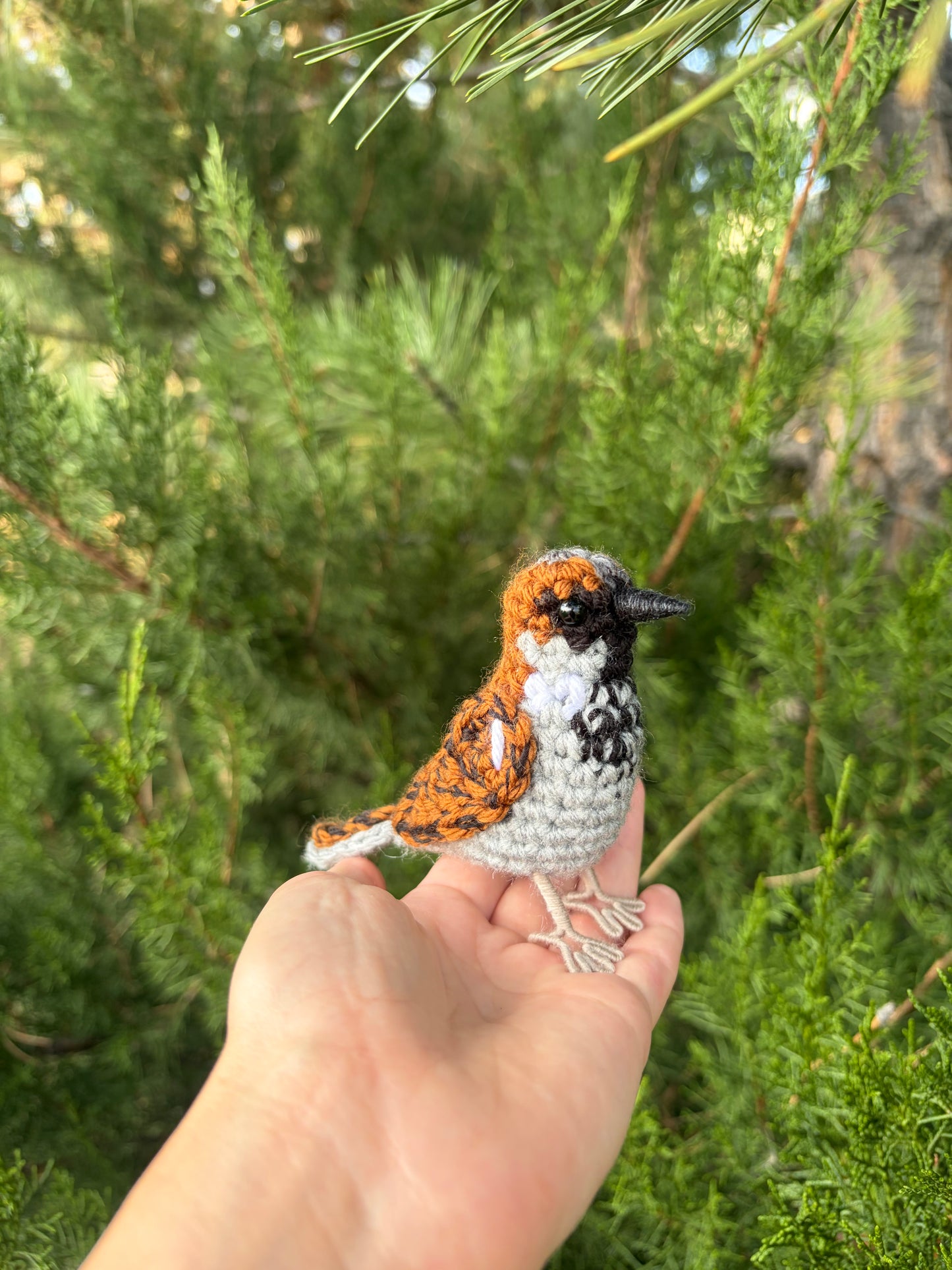 House Sparrow Written Crochet Pattern | DIGITAL PDF