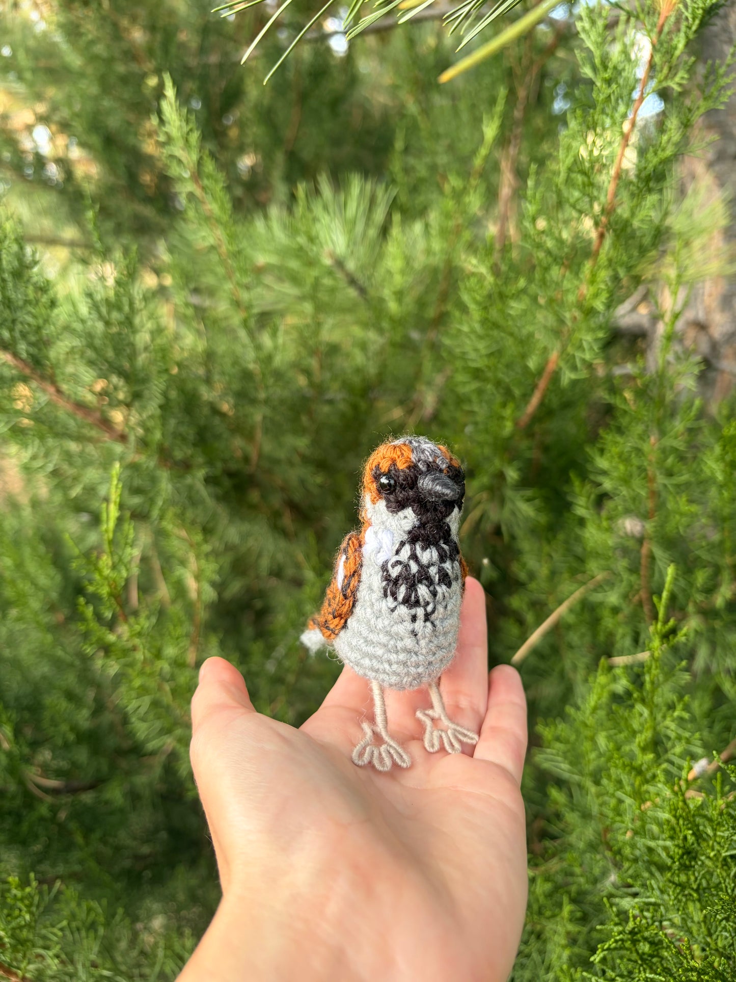 House Sparrow Plush