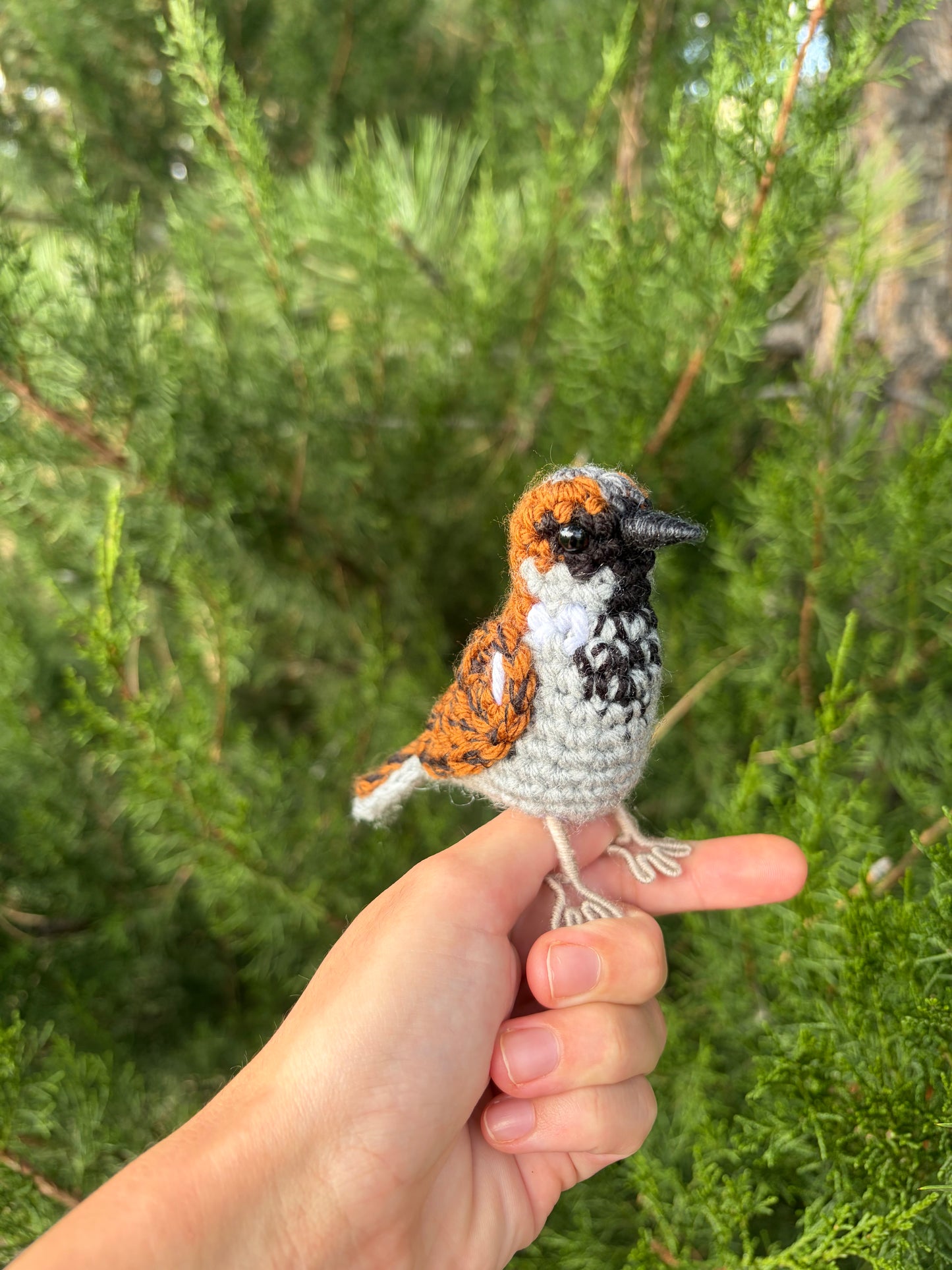 House Sparrow Written Crochet Pattern | DIGITAL PDF