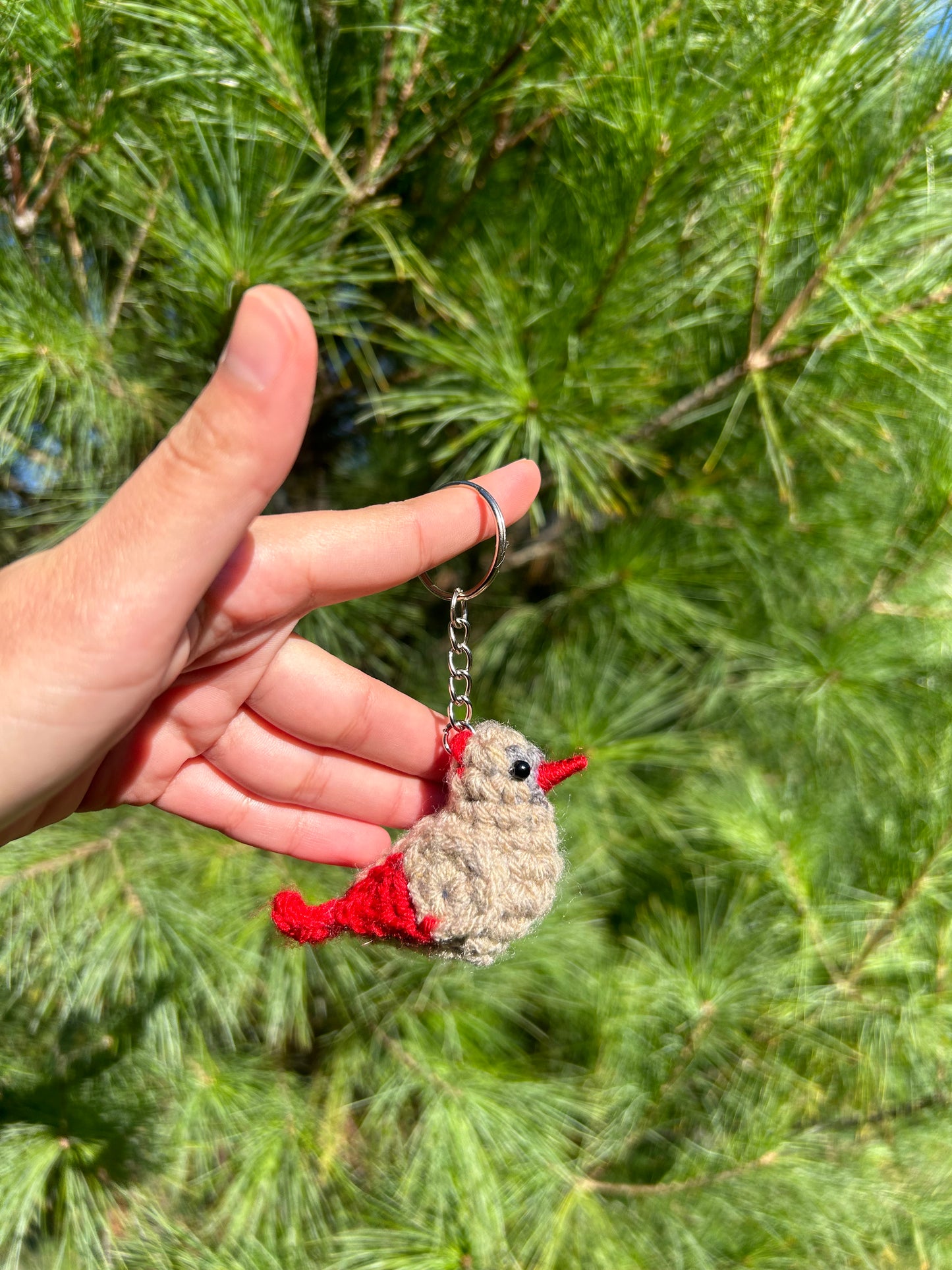 Tiny Birdies Male + Female Cardinal Crochet Pattern Bundle | DIGITAL PDFs
