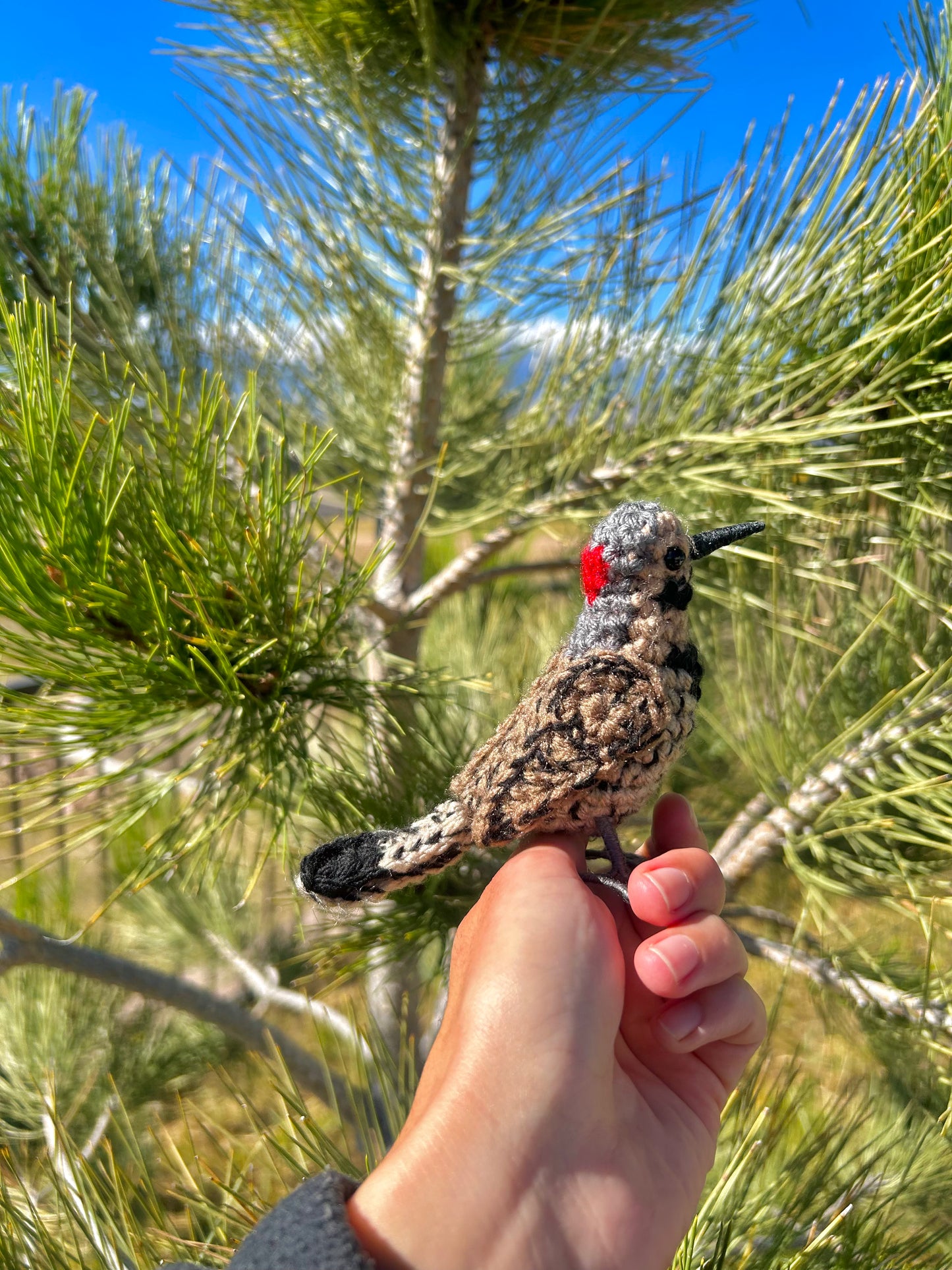 Northern Flicker Written Crochet Pattern | DIGITAL PDF