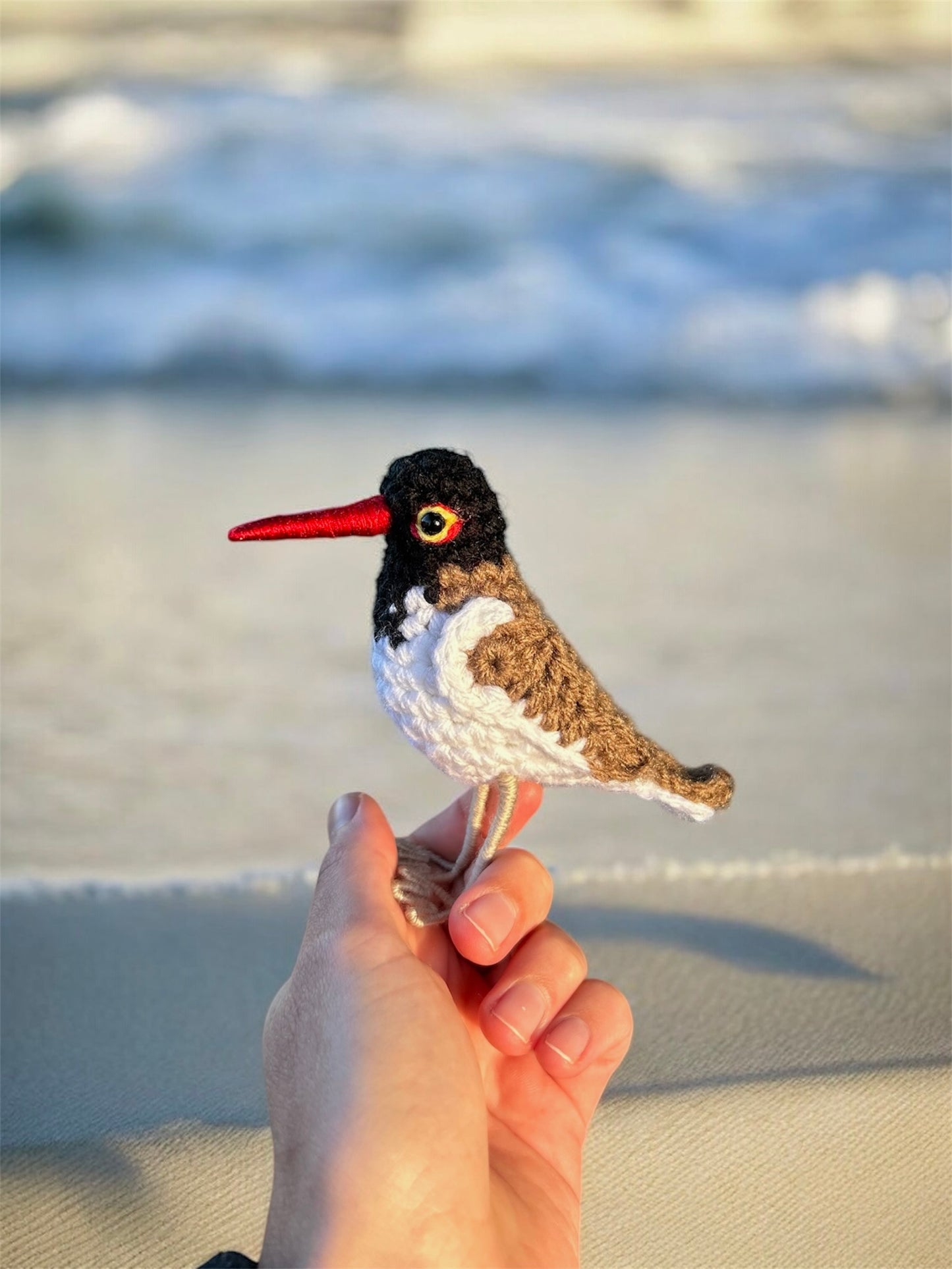 Oystercatcher Written Crochet Pattern | DIGITAL PDF