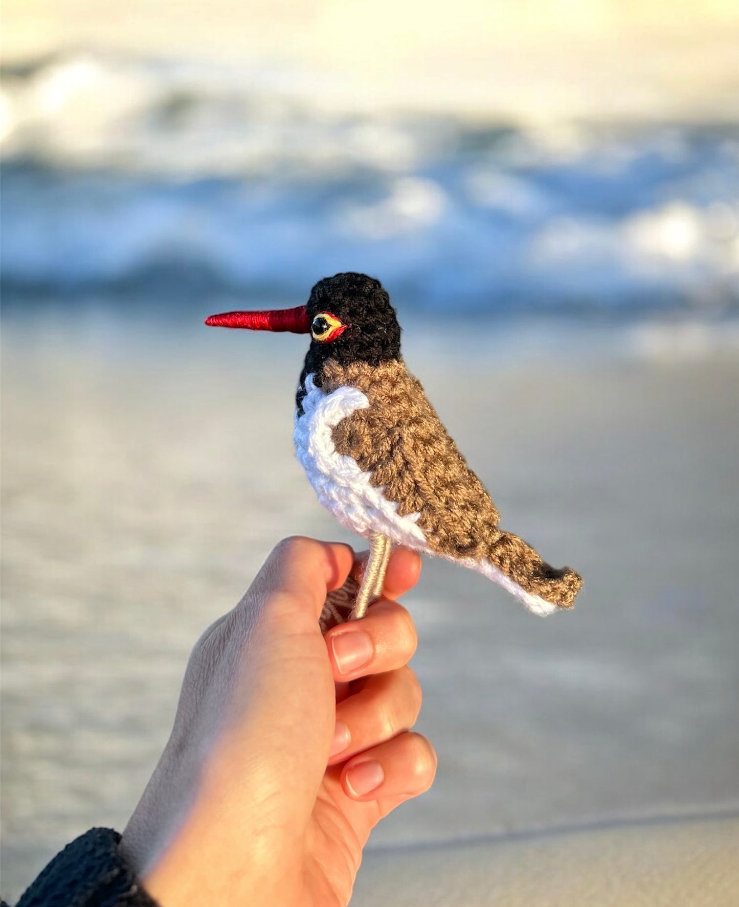 Oystercatcher Written Crochet Pattern | DIGITAL PDF