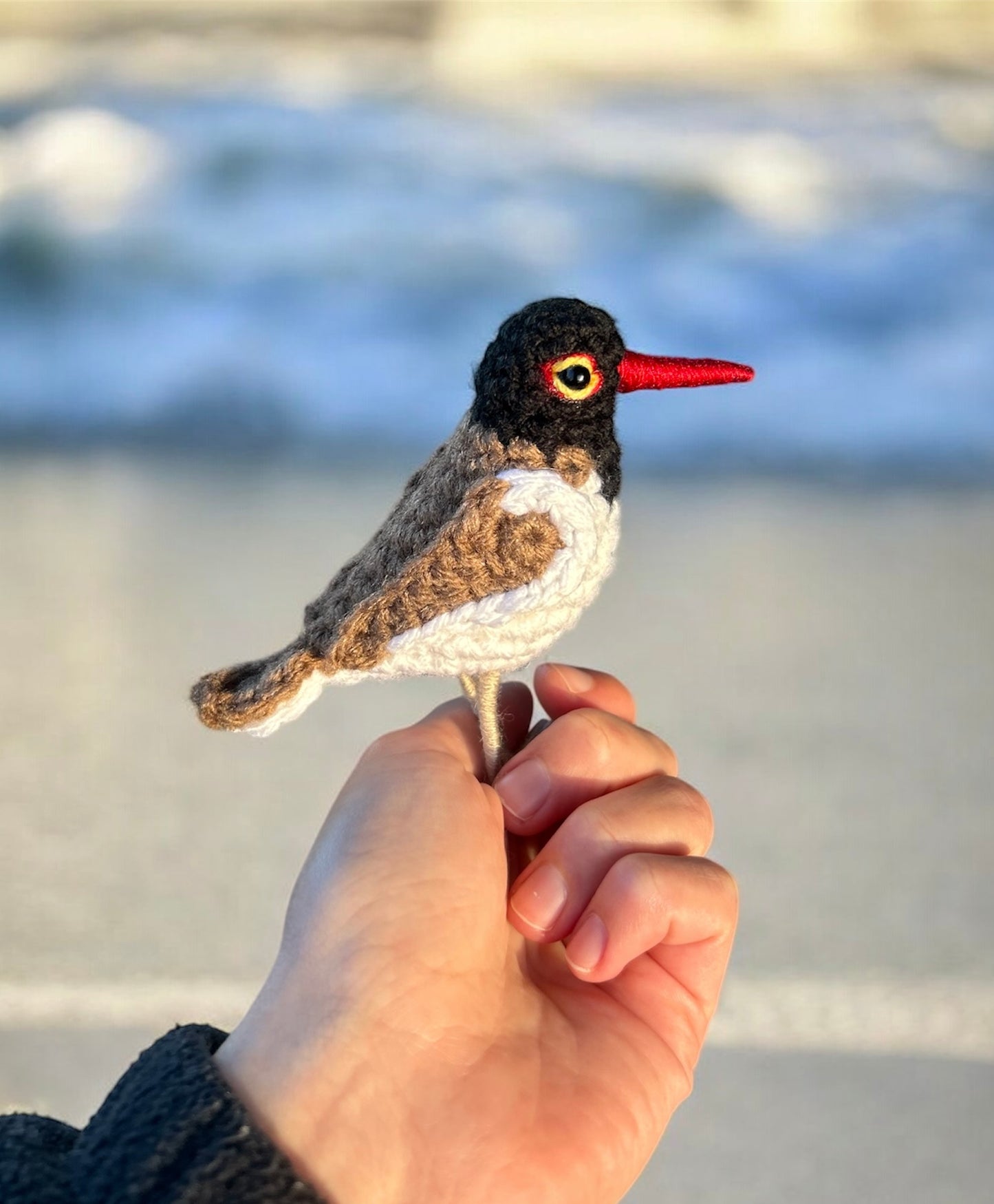 Oystercatcher Written Crochet Pattern | DIGITAL PDF