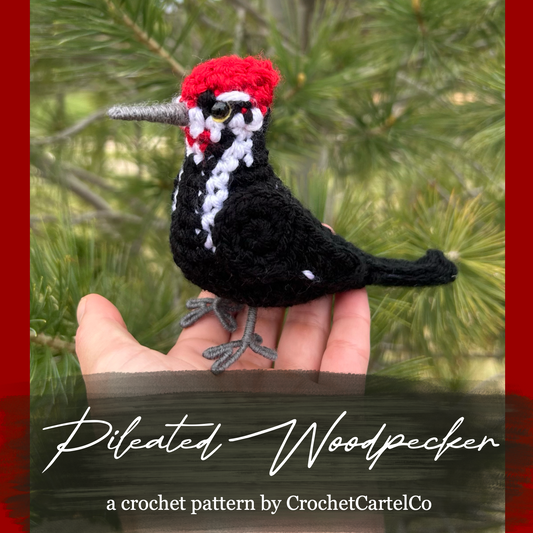 A crochet pattern for a pileated woodpecker, shown with a green background