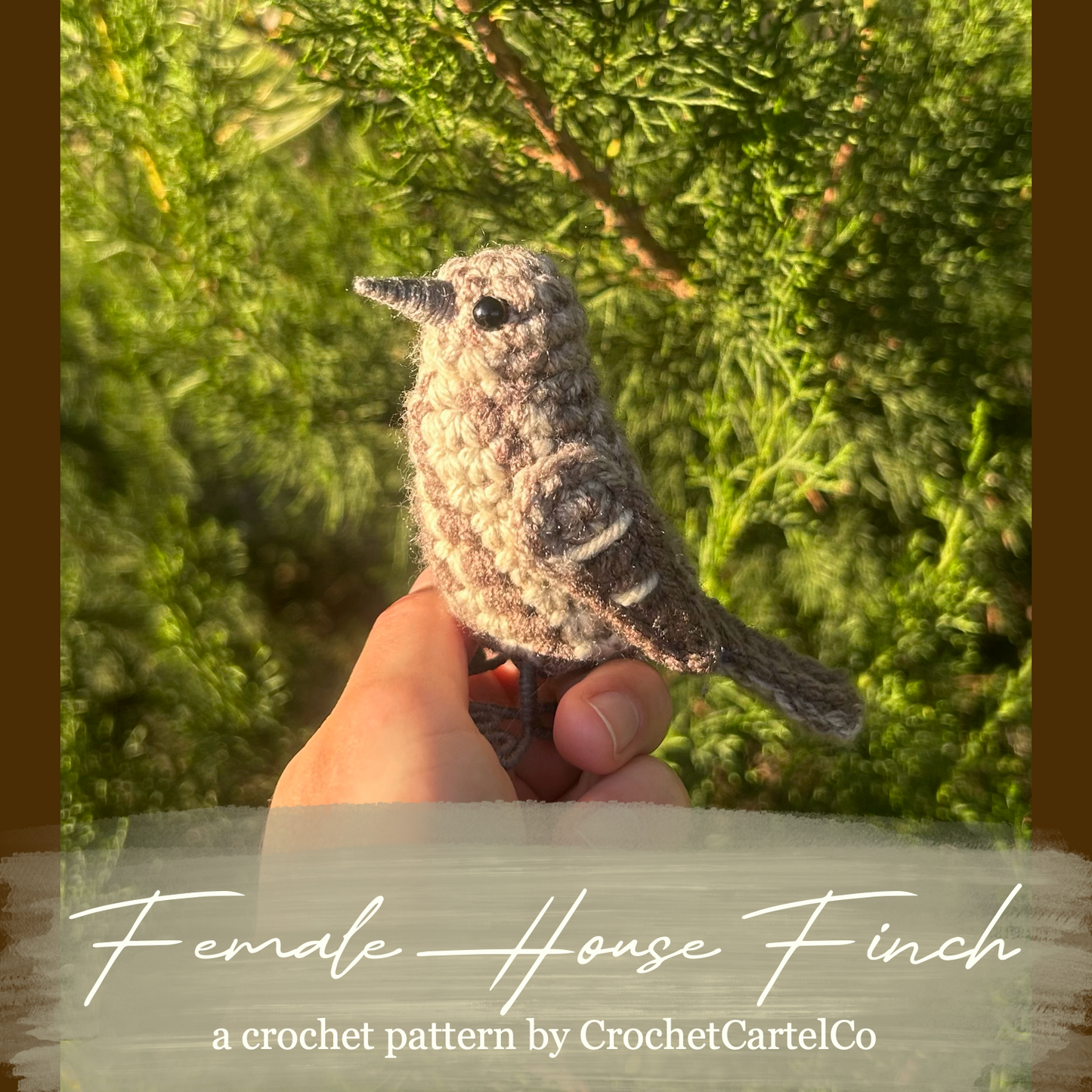 Hand holding a crochet female house finch against a green leafy background with text overlay describing the crochet pattern.