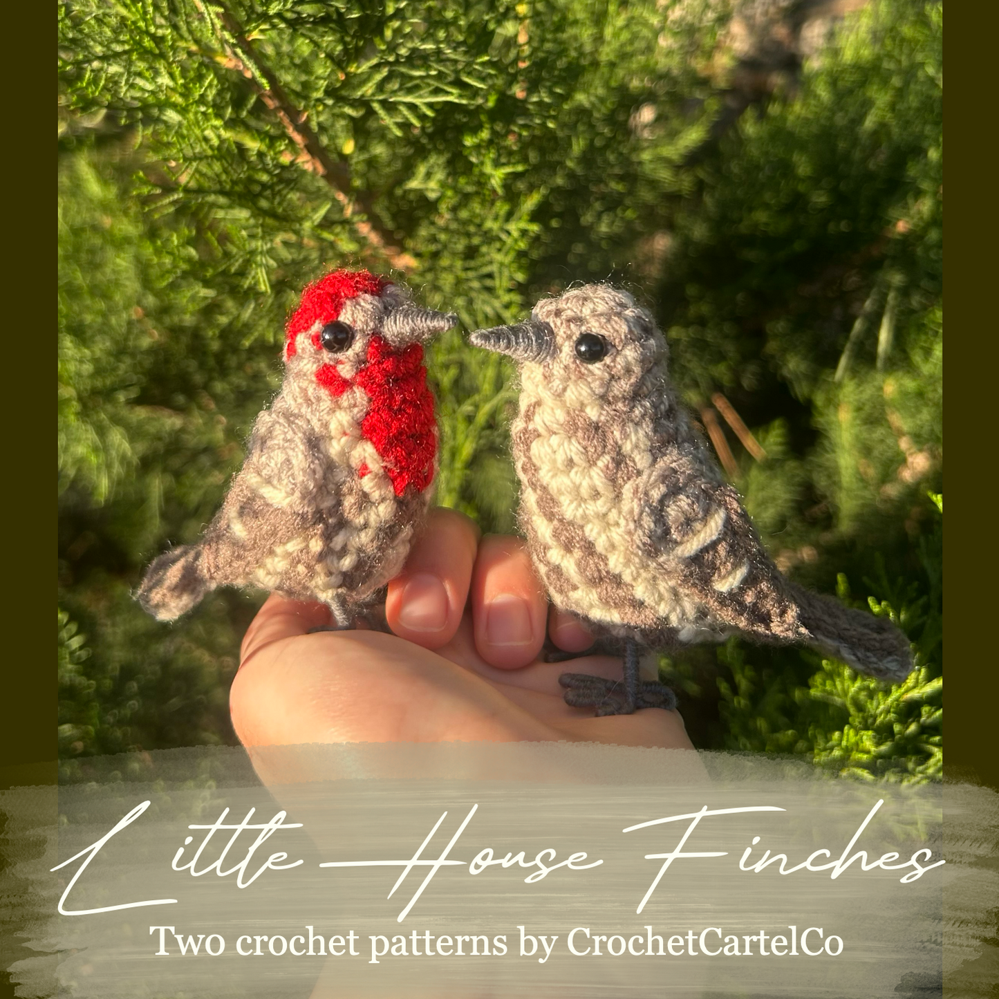 Two crochet bird patterns held against a green leafy background with 'Little House Finches Crochet Pattern' text.