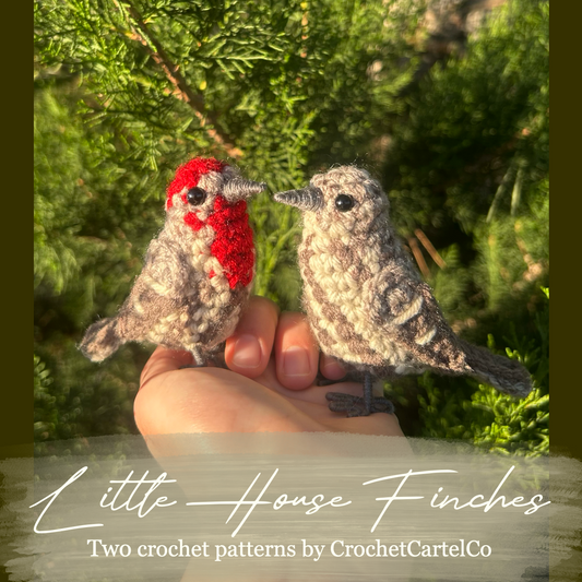 Two crochet bird patterns held against a green leafy background with 'Little House Finches Crochet Pattern' text.
