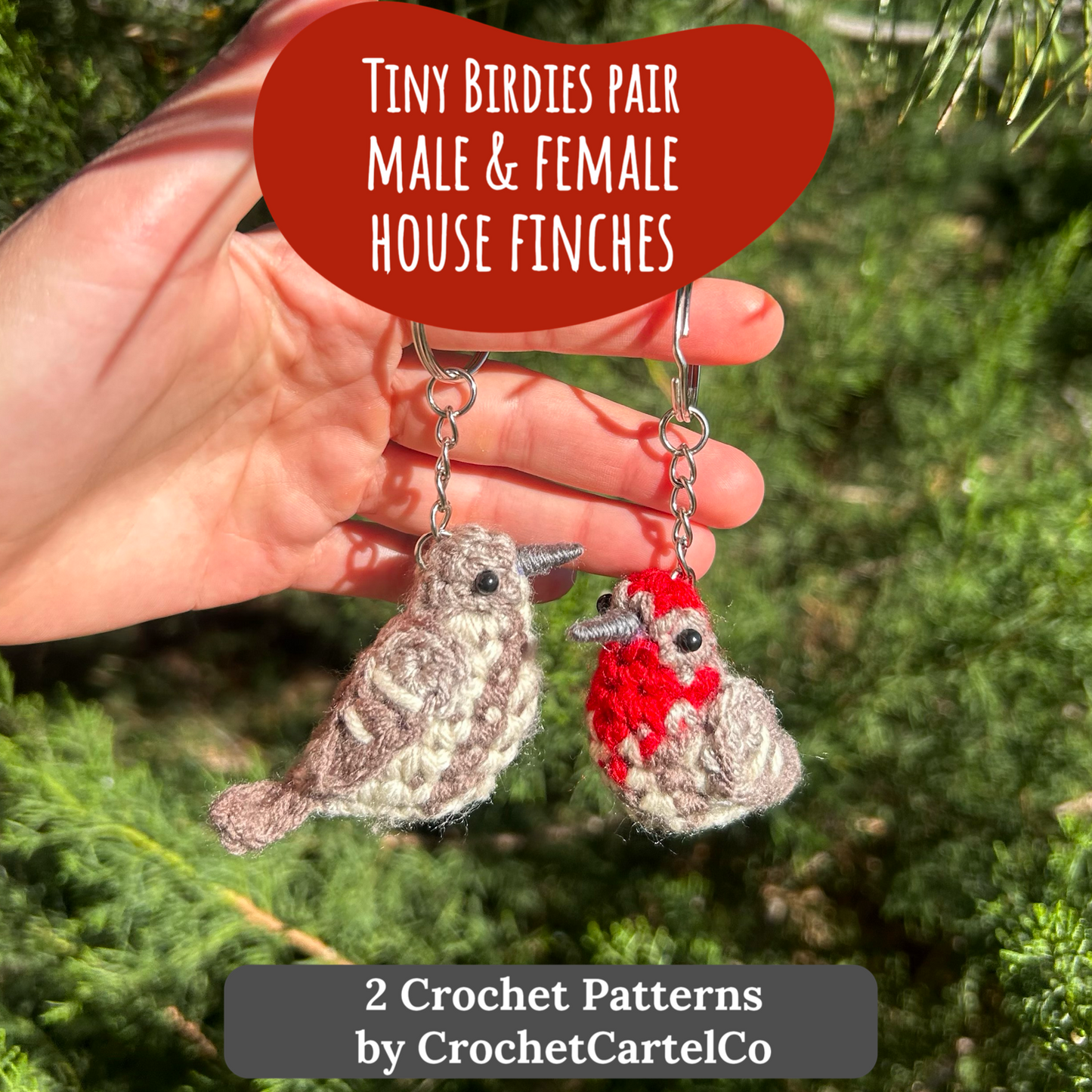 Tiny Birdies Male + Female House Finches Crochet Pattern Bundle | DIGITAL PDFs