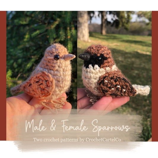 Crochet pattern for two crocheted sparrow figures, held in hands with a natural outdoor background.