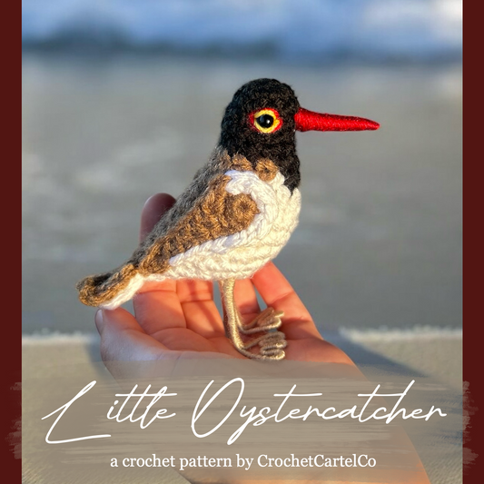 A crochet oystercatcher crochet pattern, shown on a beach