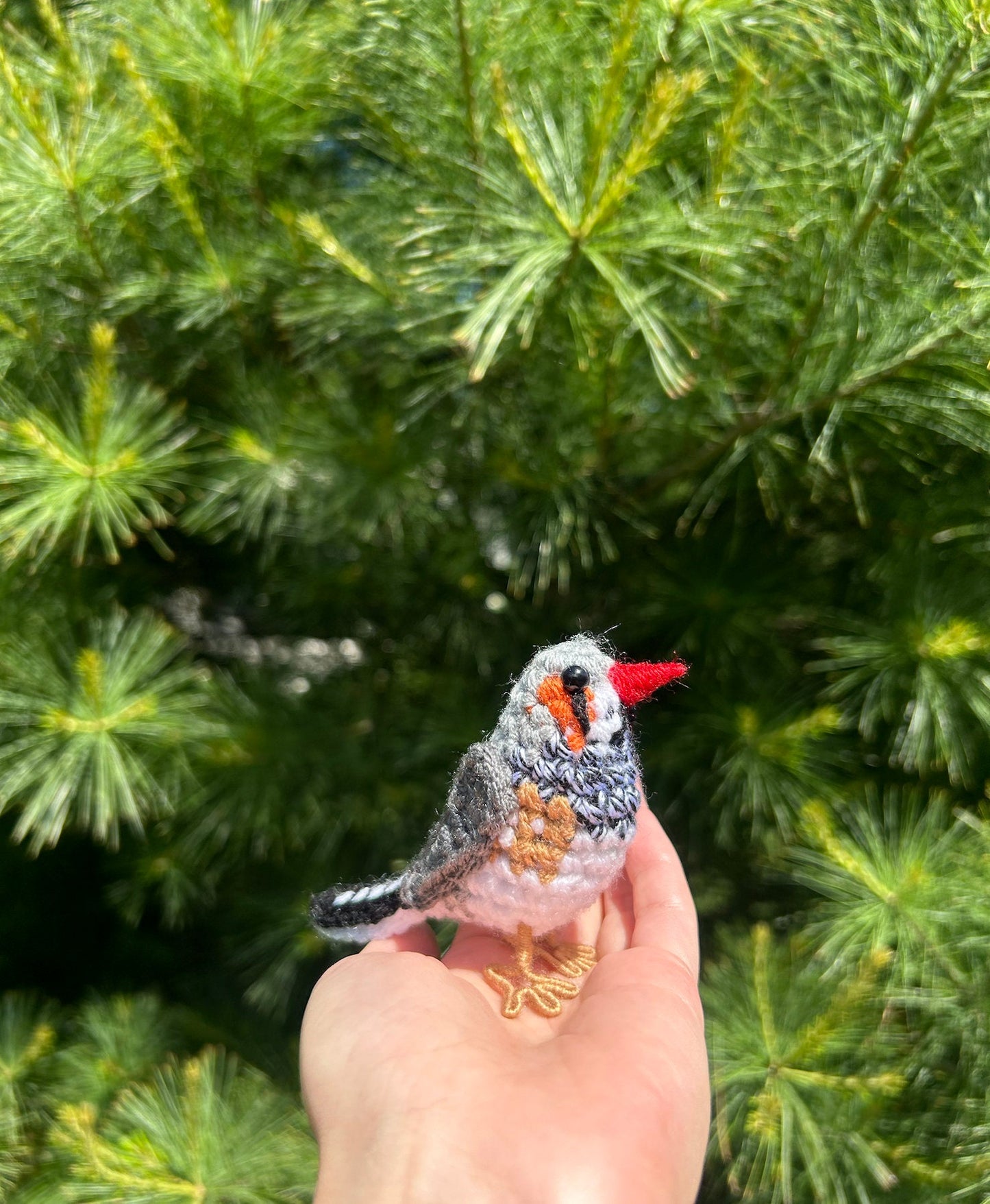 Zebra Finch Written Crochet Pattern | DIGITAL PDF