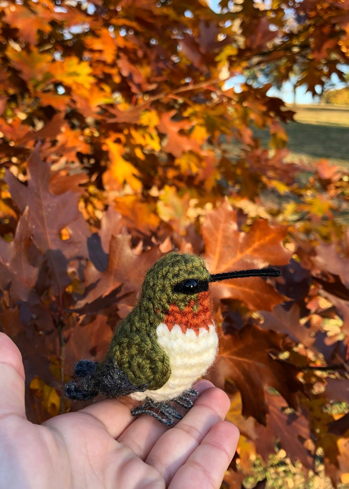 Ruby Throated Hummingbird Written Crochet Pattern | DIGITAL PDF