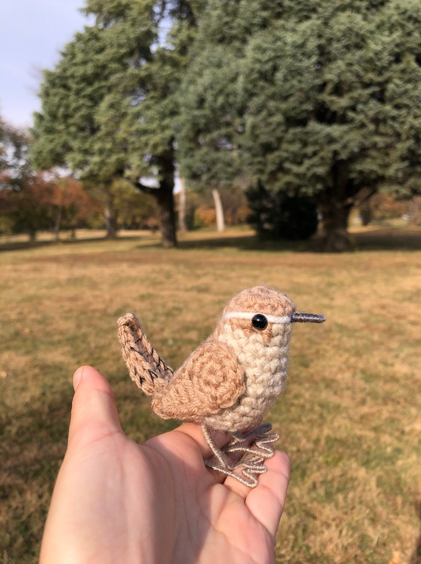 Little Wren Written Crochet Pattern | DIGITAL PDF