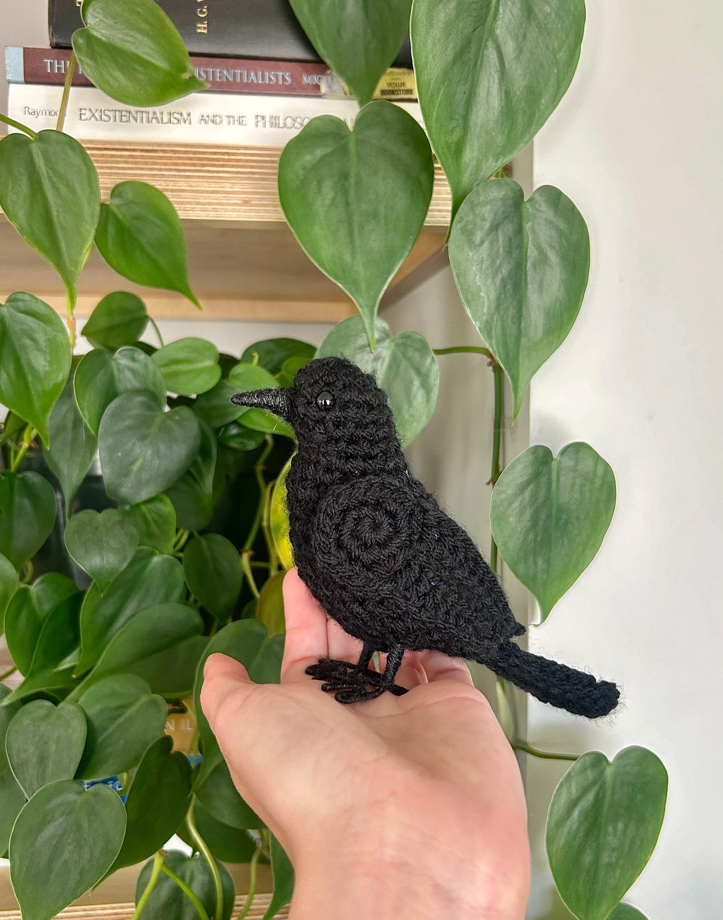 Beautiful Raven Written Crochet Pattern | DIGITAL PDF