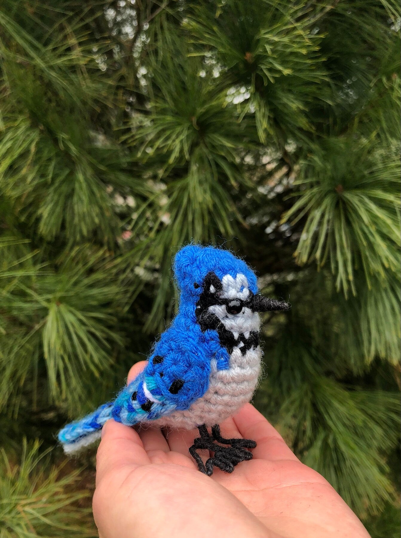 Beautiful Blue Jay Plush