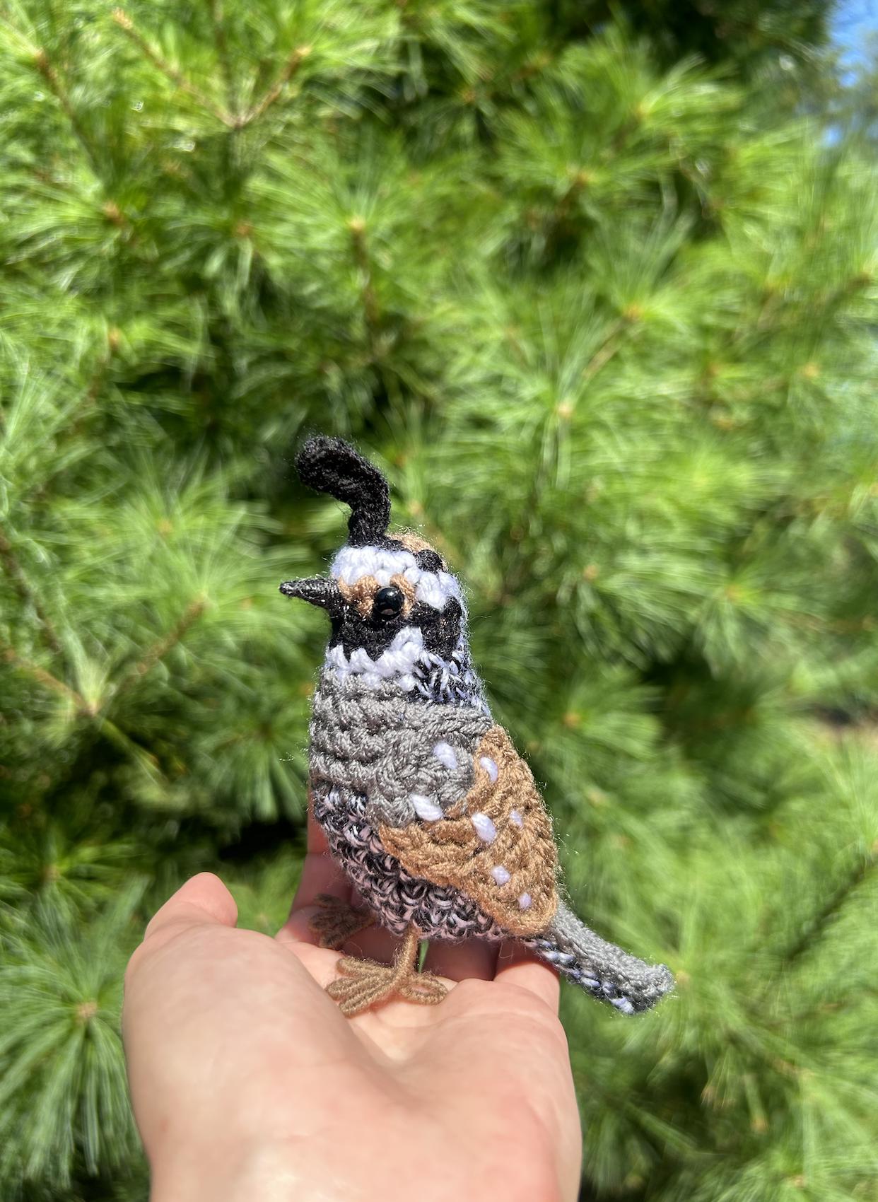 California Quail Written Crochet Pattern | DIGITAL PDF