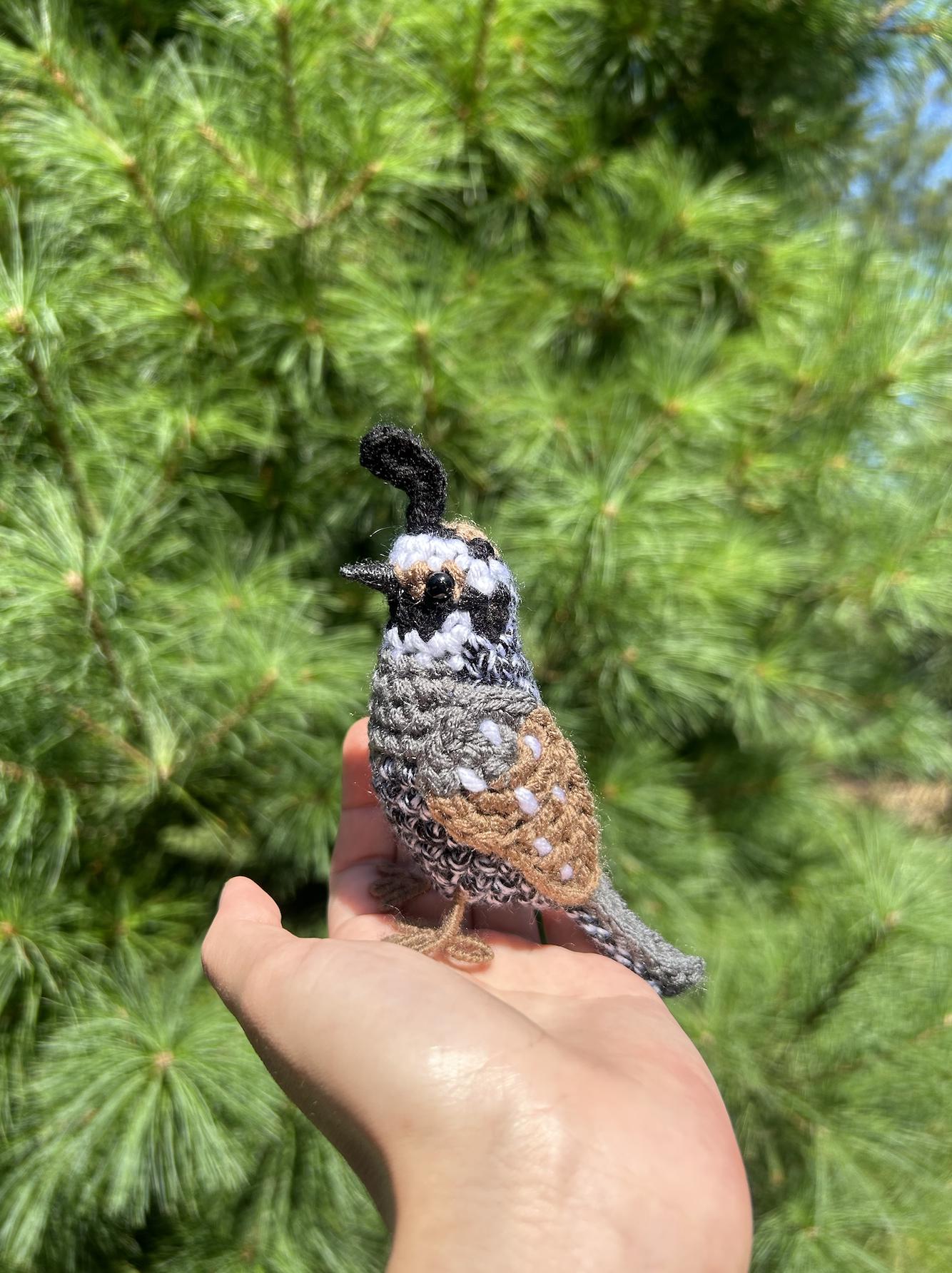 California Quail Written Crochet Pattern | DIGITAL PDF