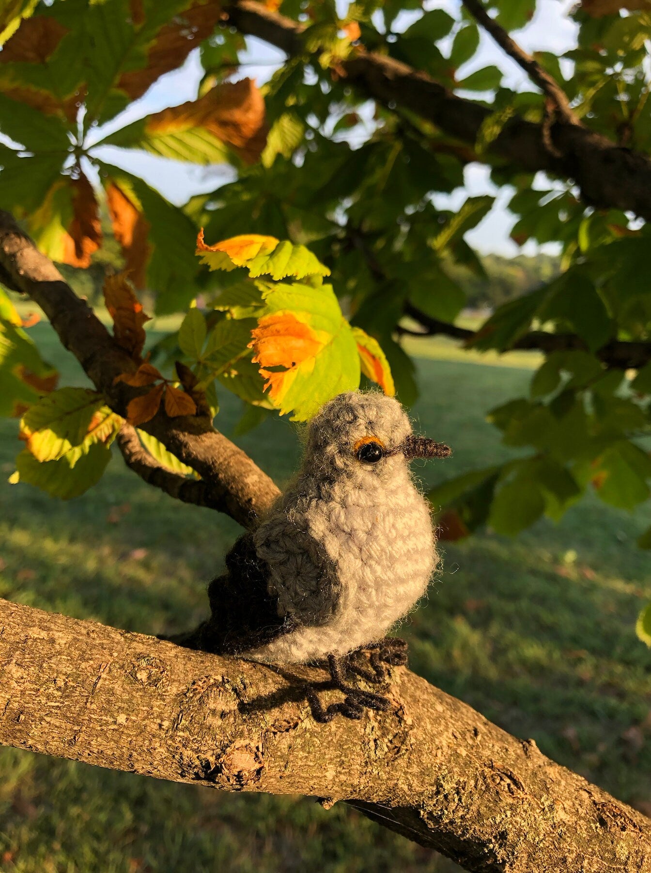Little Mockingbird Written Crochet Pattern | DIGITAL PDF