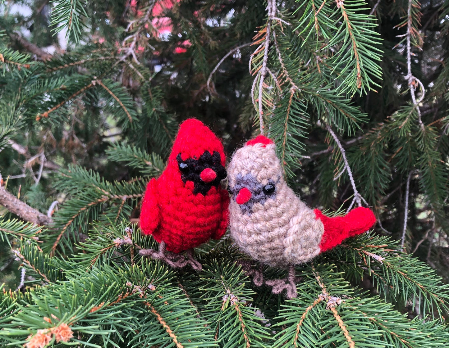 Male + Female Cardinal Crochet Pattern Bundle | DIGITAL PDFs
