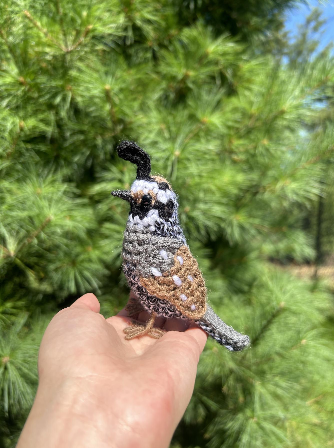 California Quail Written Crochet Pattern | DIGITAL PDF