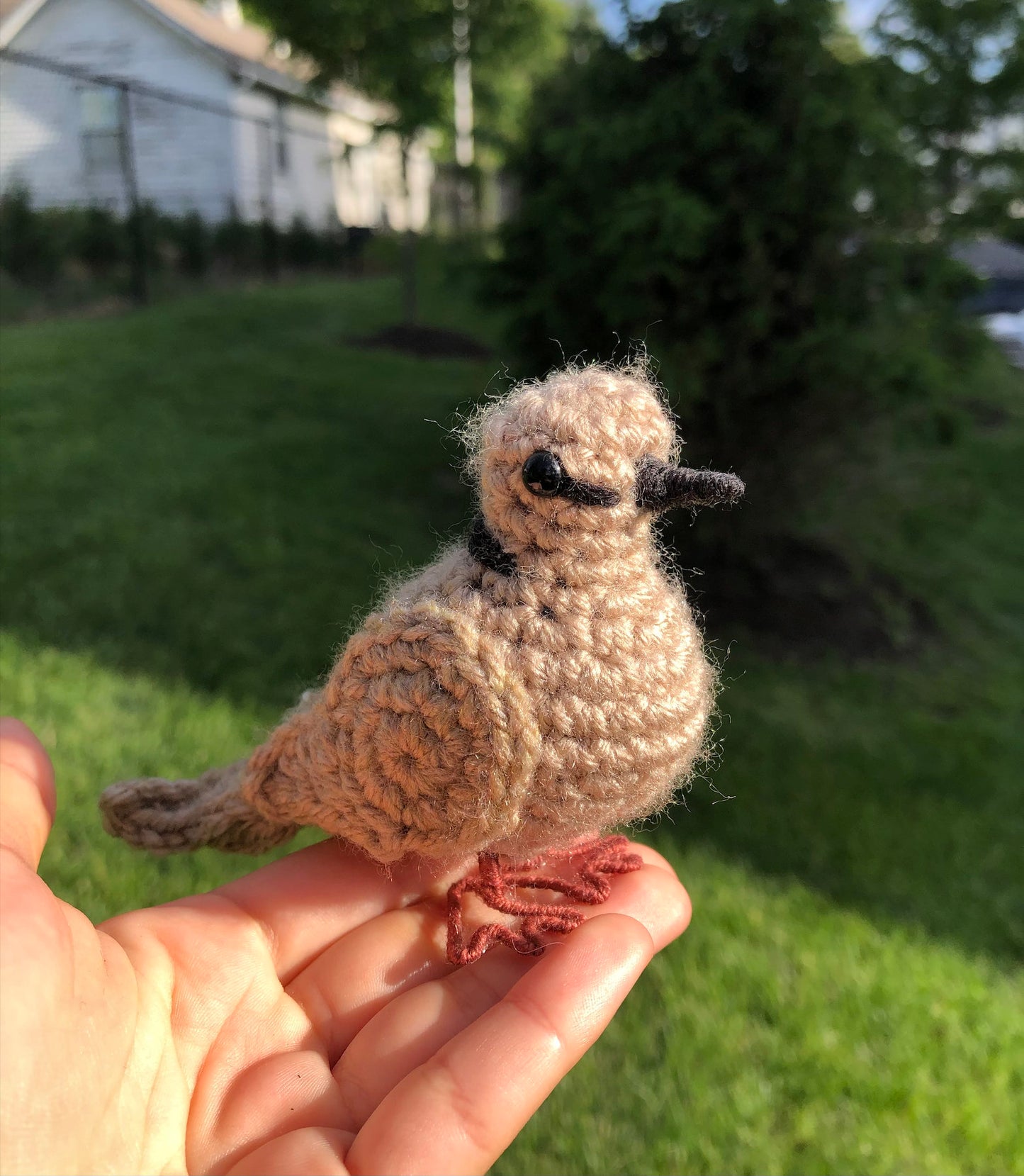 Ring-necked Dove Written Crochet Pattern | DIGITAL PDF