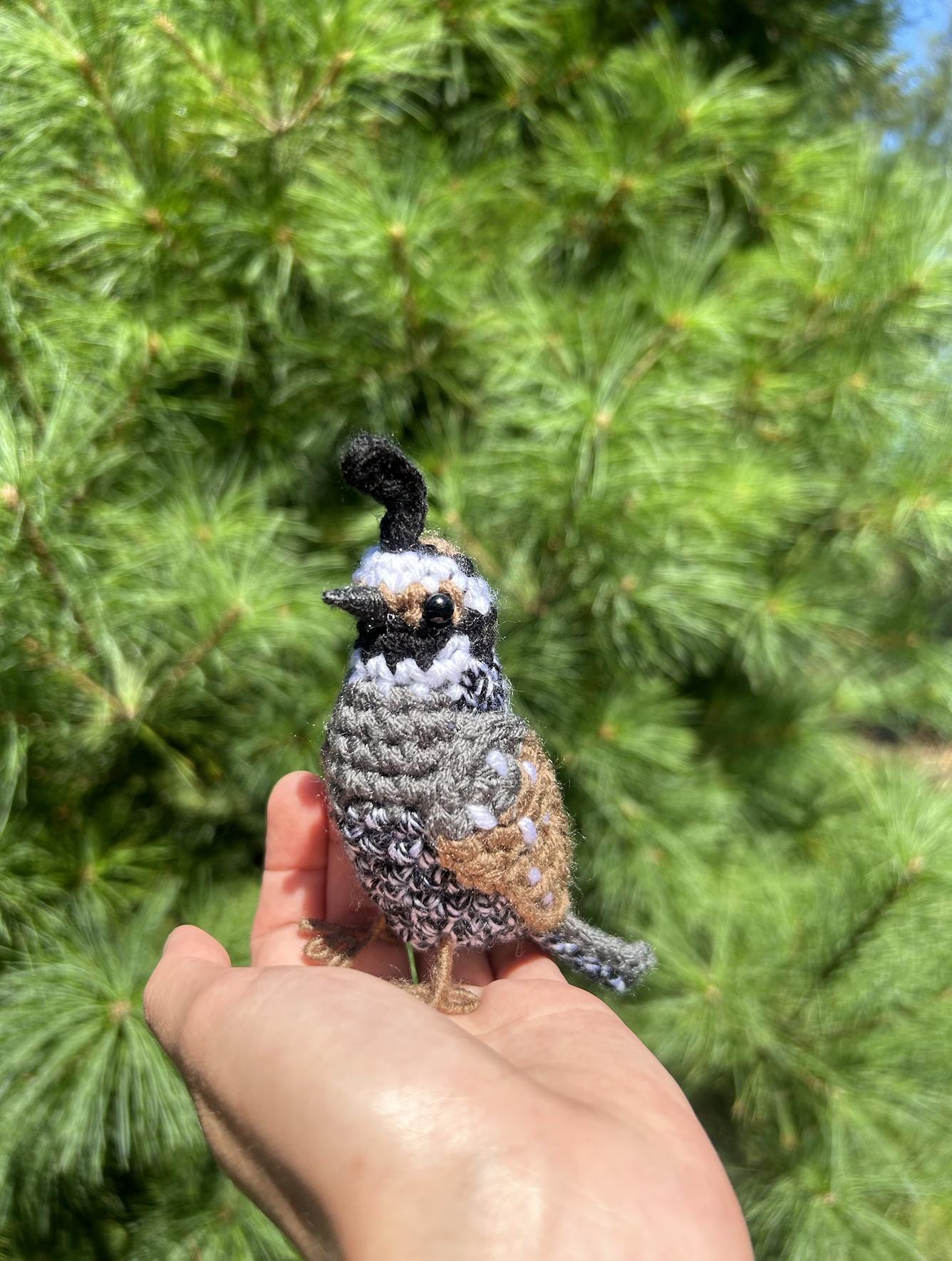 California Quail Written Crochet Pattern | DIGITAL PDF