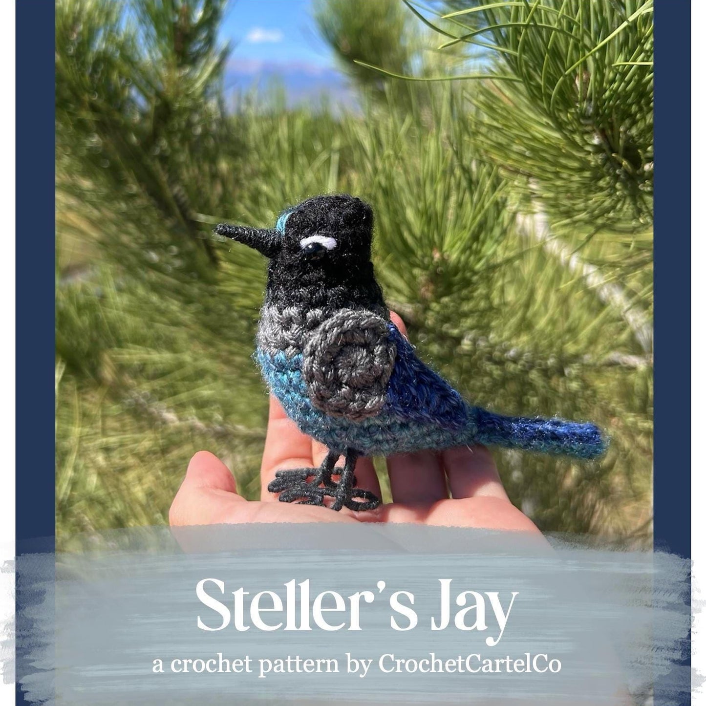 Crocheted Steller's Jay pattern, held in a hand with a natural background