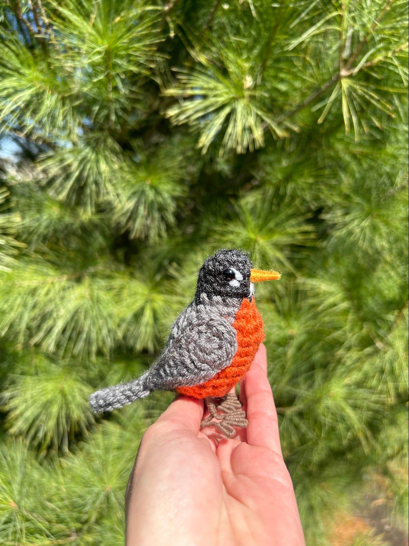 American Robin Written Crochet Pattern | DIGITAL PDF