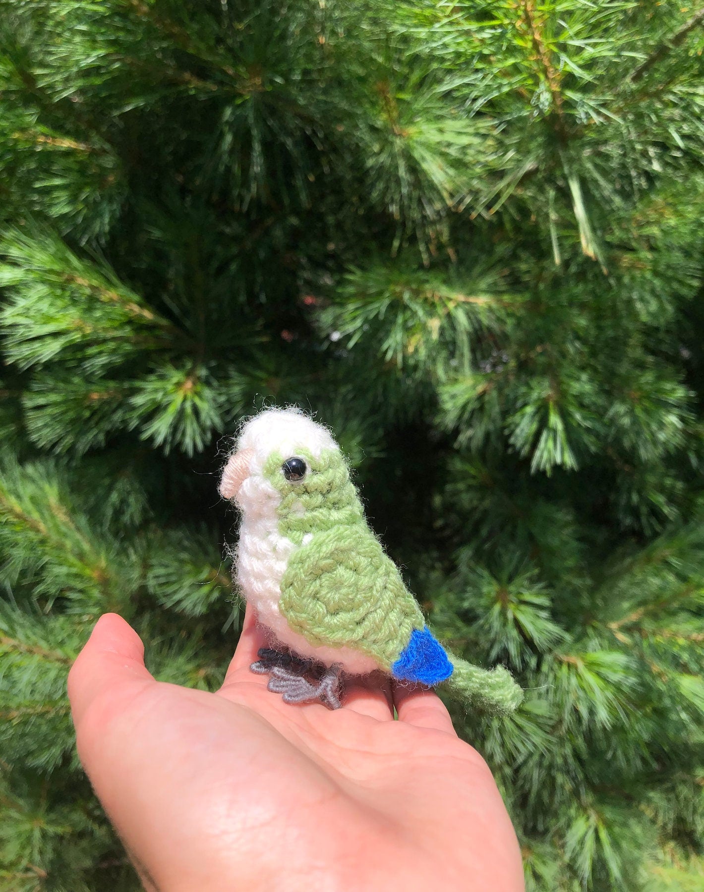Quaker Parrot Written Crochet Pattern | DIGITAL PDF