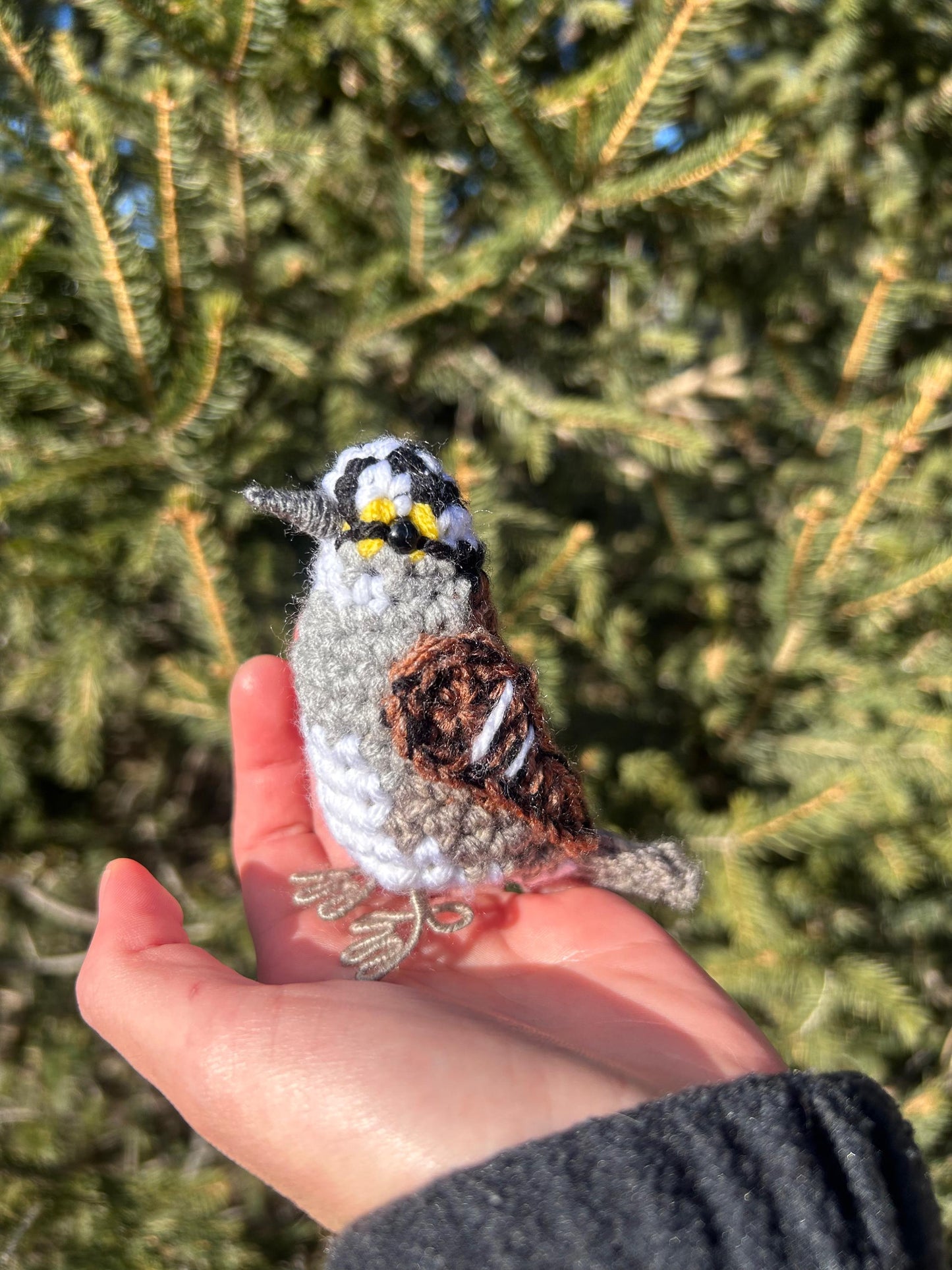 White-throated Sparrow Written Crochet Pattern | DIGITAL PDF