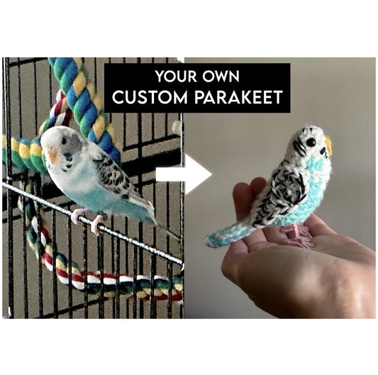 Real parakeet on a cage next to a toy parakeet held in a hand, with text 'Your Own Custom Parakeet'.