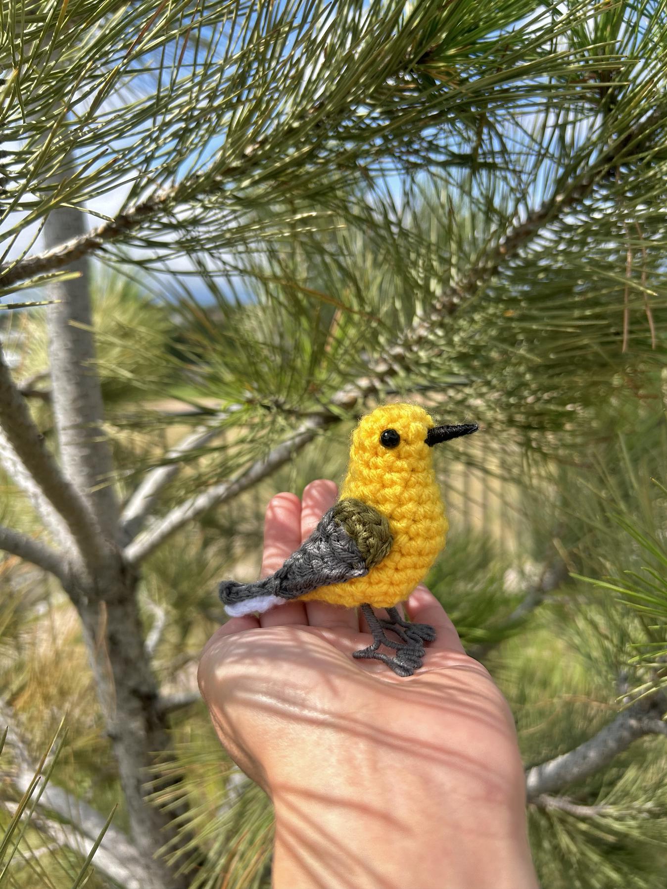 Prothonotary Warbler Written Crochet Pattern | DIGITAL PDF