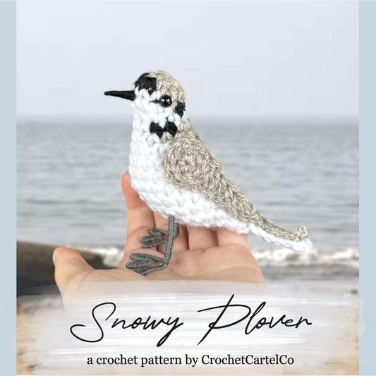 Crocheted snowy plover pattern, shown held in a hand with ocean background