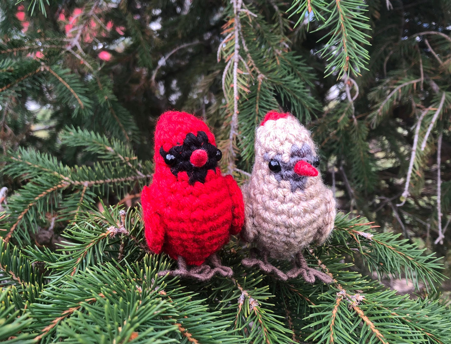 Male + Female Cardinal Crochet Pattern Bundle | DIGITAL PDFs