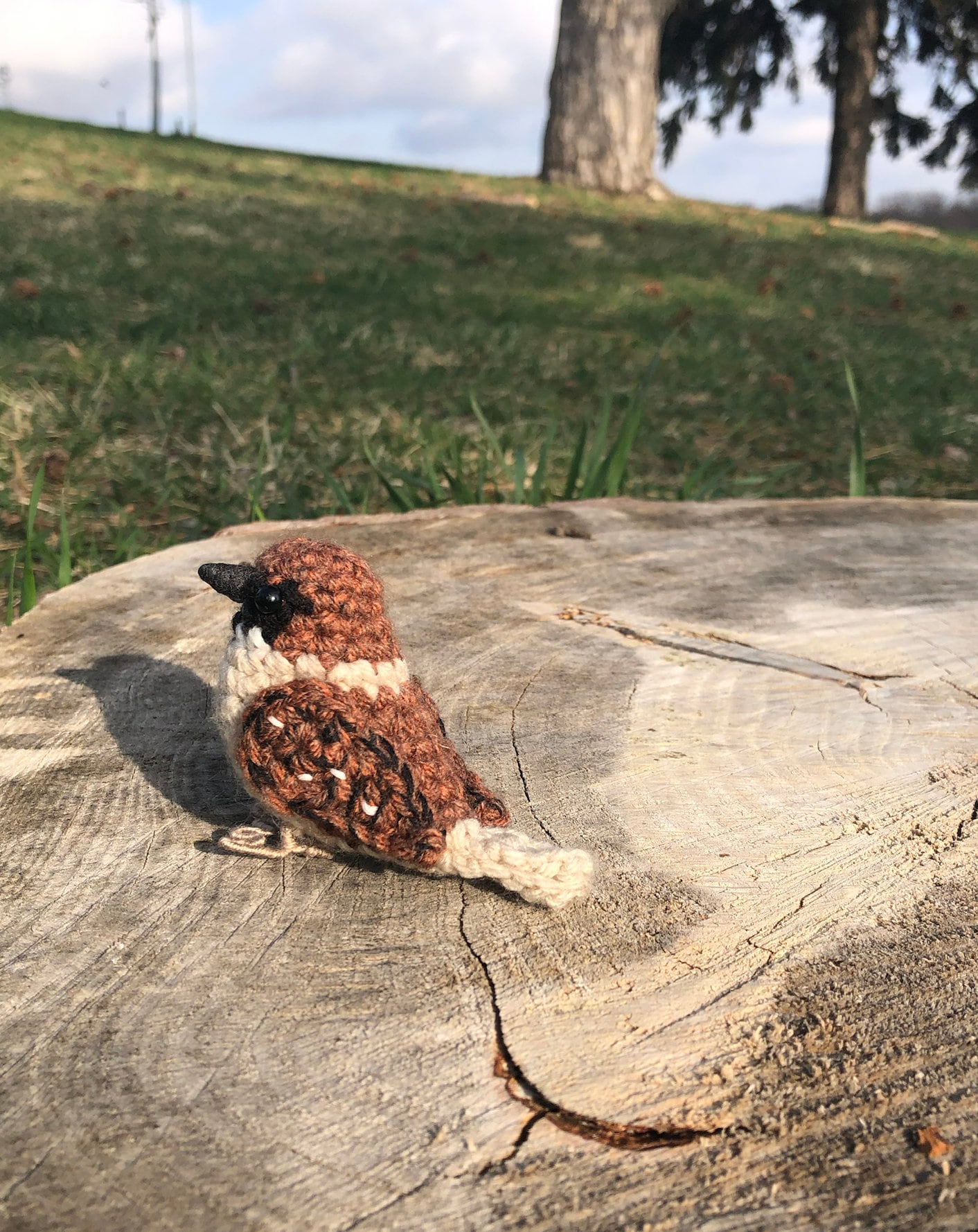 Little Sparrow Written Crochet Pattern | DIGITAL PDF