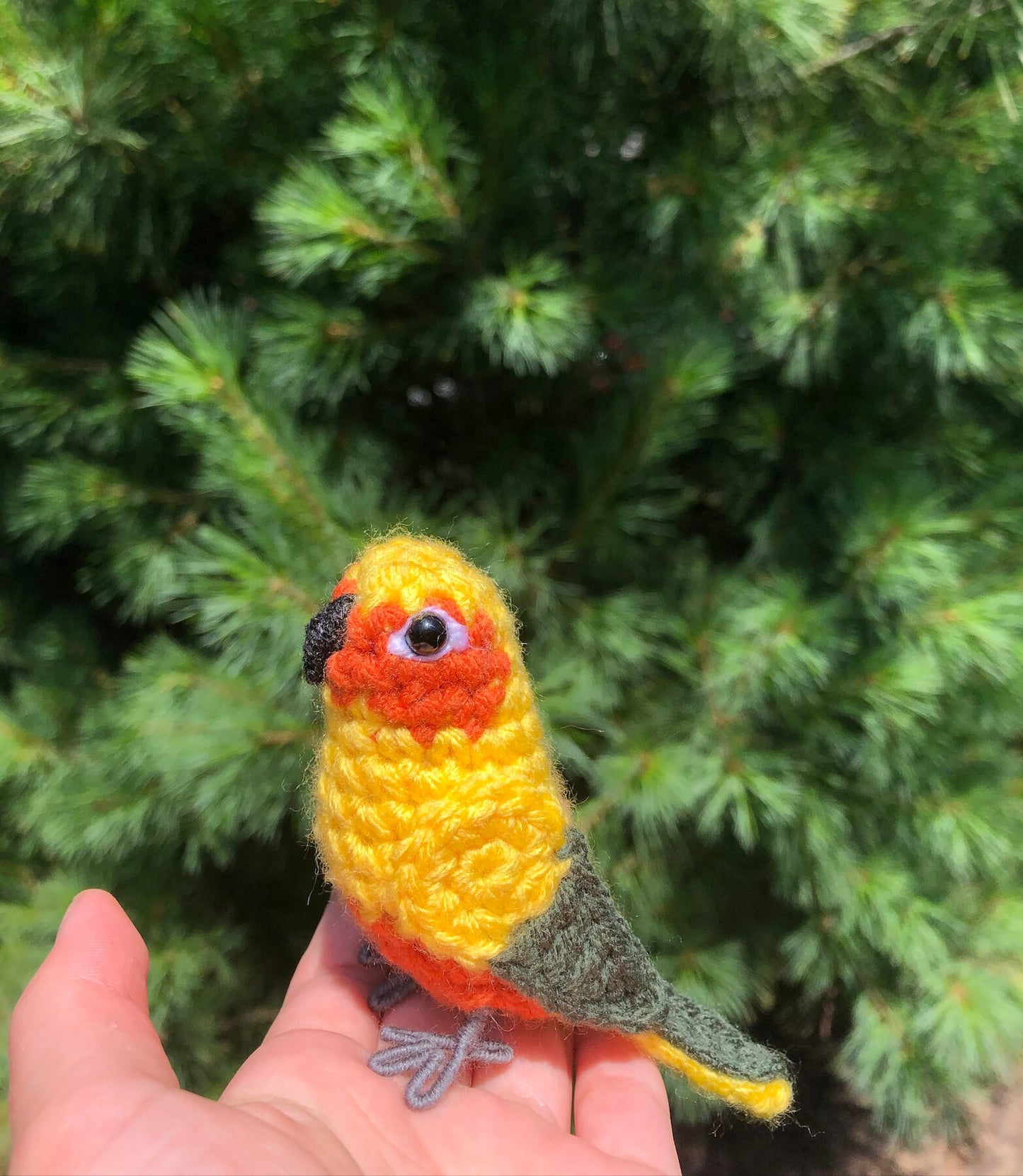 Sun Conure Written Crochet Pattern | DIGITAL PDF