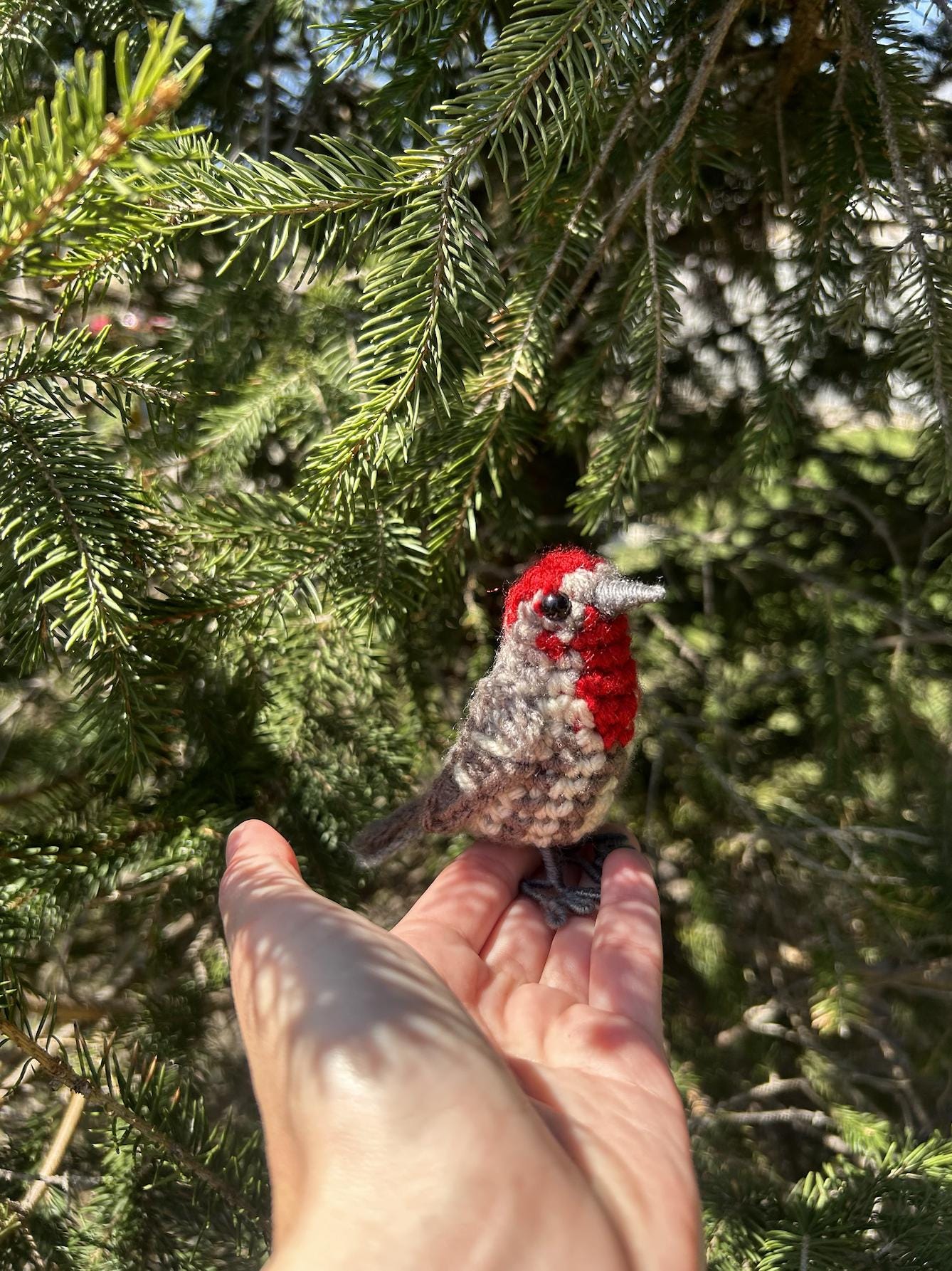 House Finch Written Crochet Pattern | DIGITAL PDF