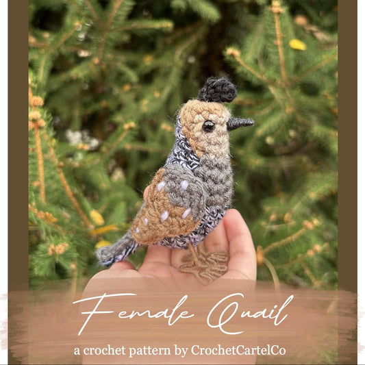 Crocheted female quail crochet pattern shown held in a hand with a blurred green background