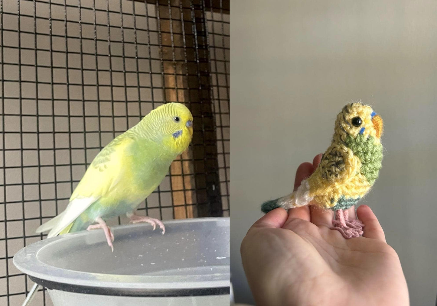 Custom Parakeet Plush