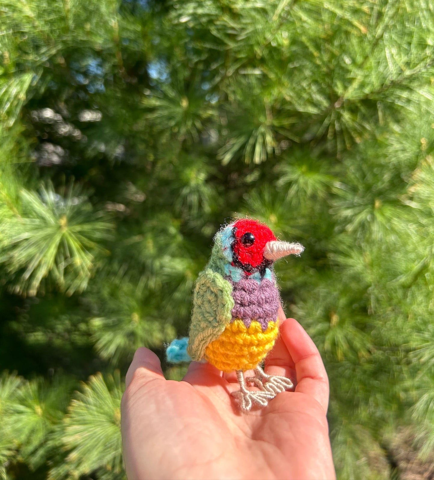 Gouldian Finch Plush