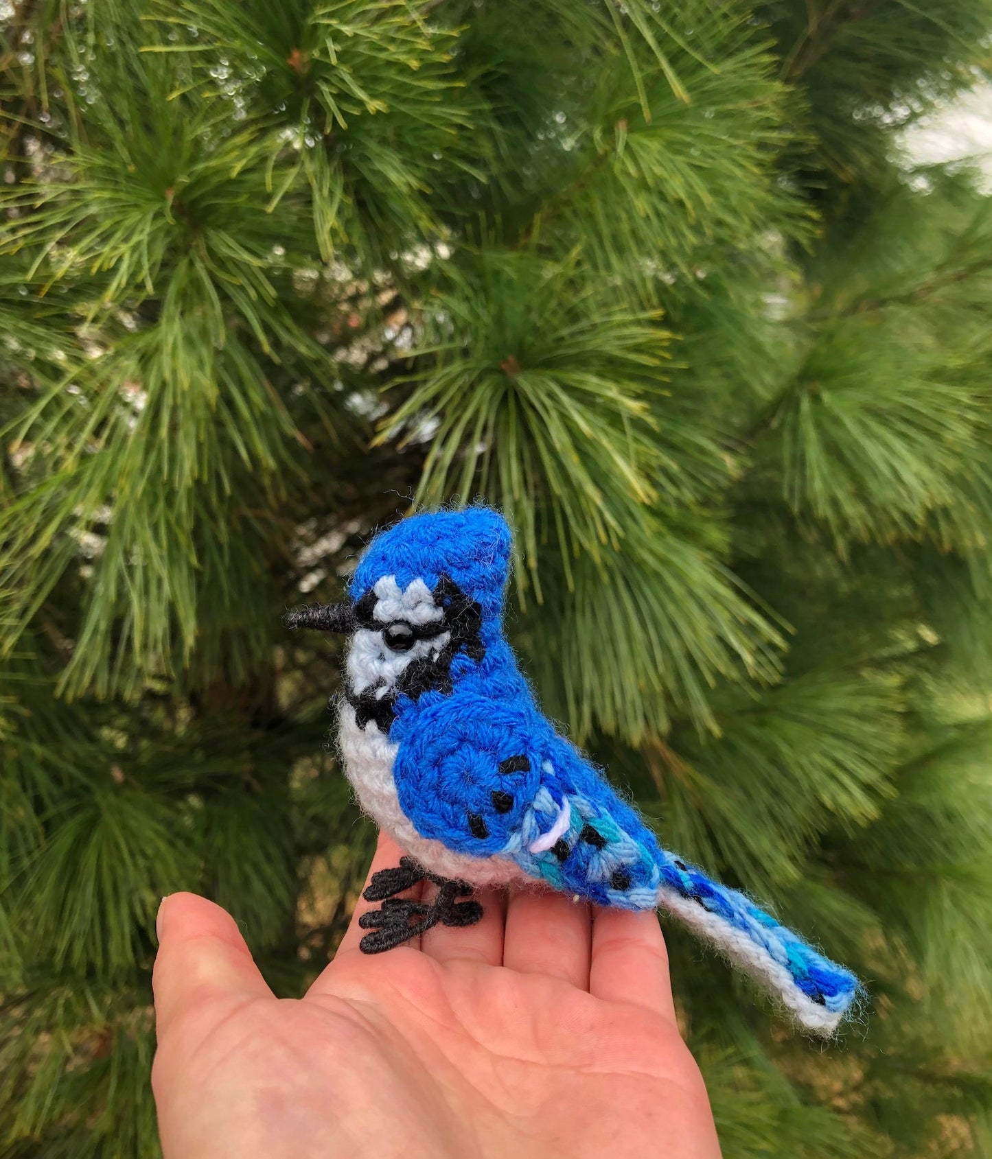 Beautiful Blue Jay Written Crochet Pattern | DIGITAL PDF