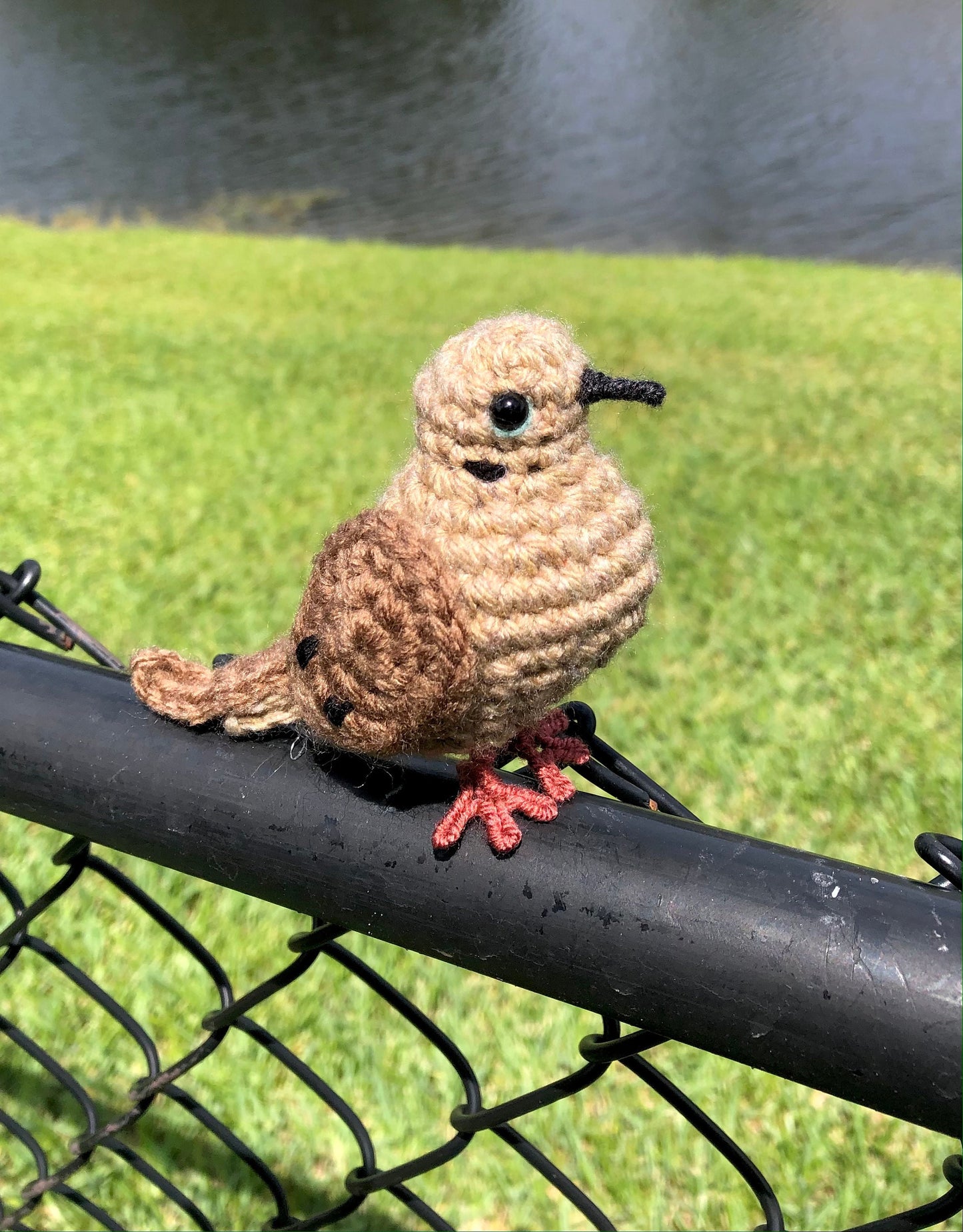 Mourning Dove Written Crochet Pattern | DIGITAL PDF