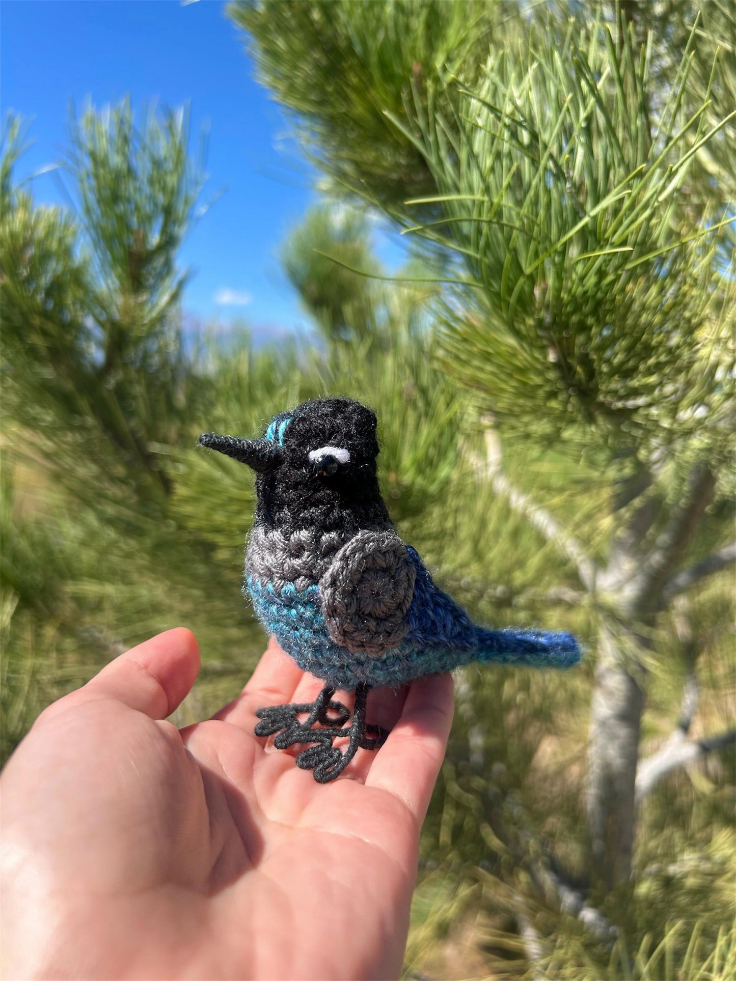 Steller's Jay Written Crochet Pattern | DIGITAL PDF