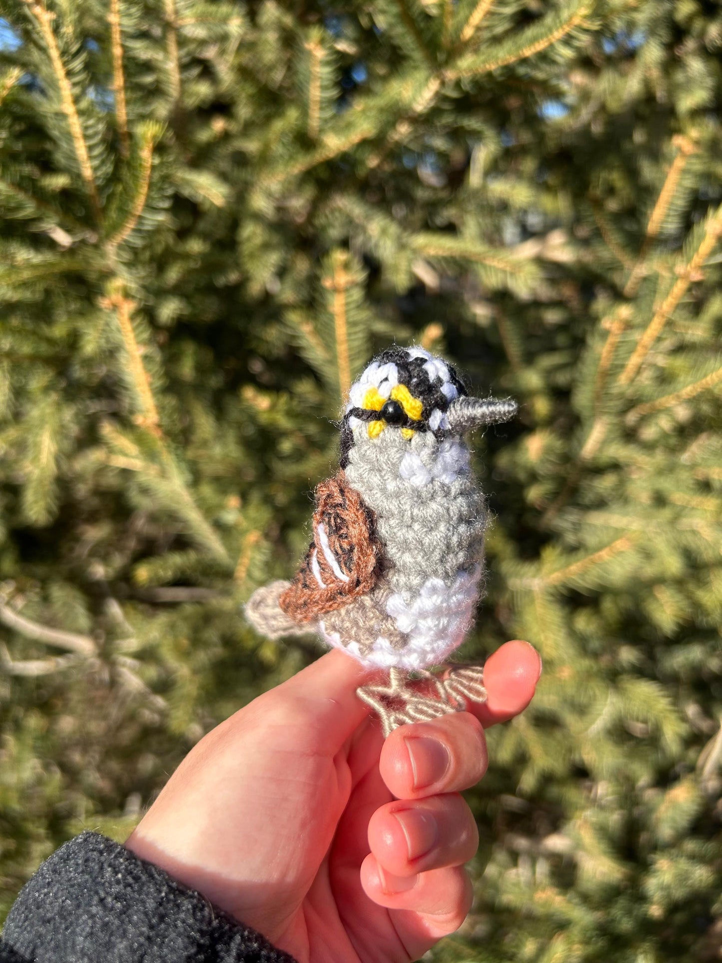 White-throated Sparrow Written Crochet Pattern | DIGITAL PDF